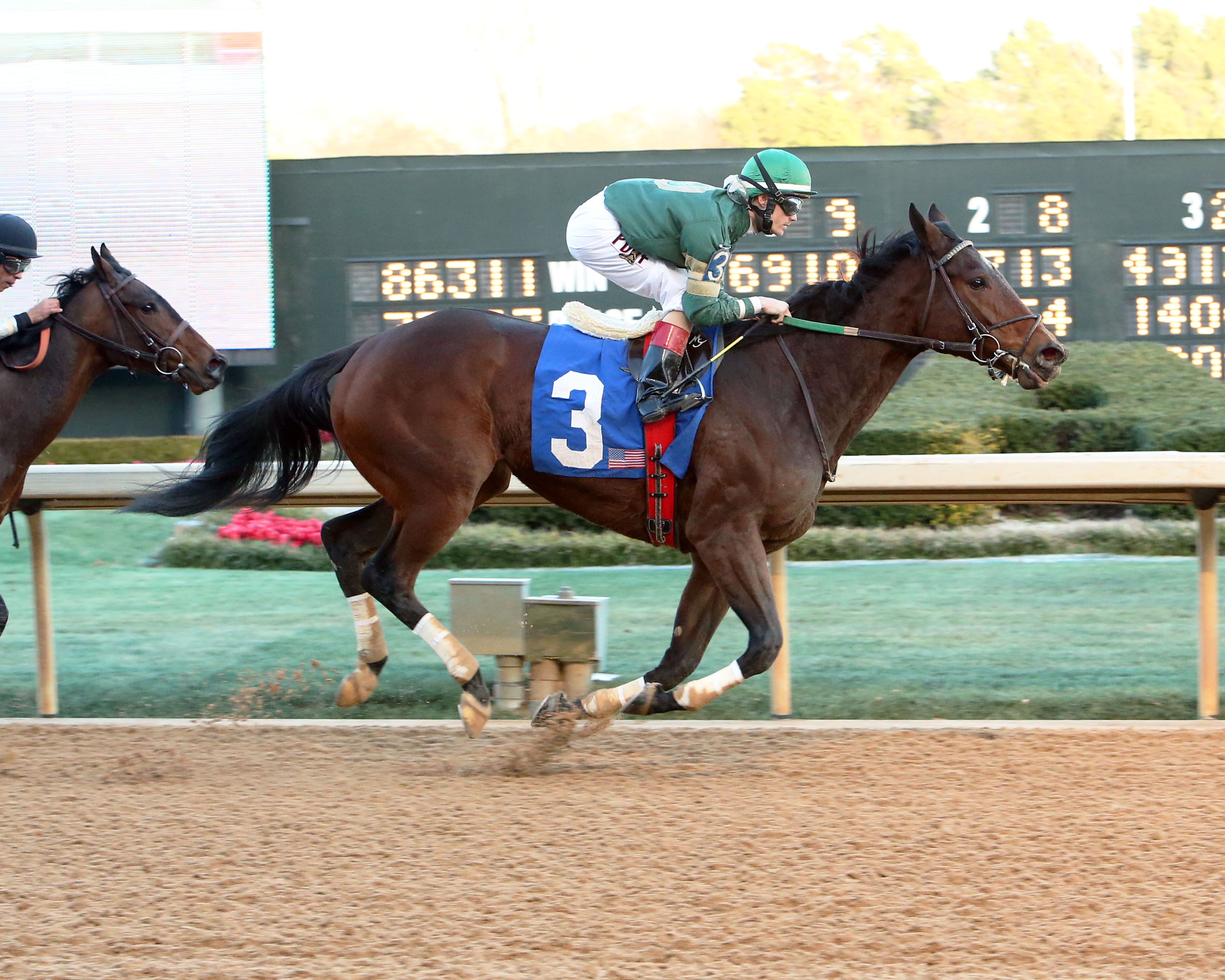 Don't Tell Sophia 1-18-2014