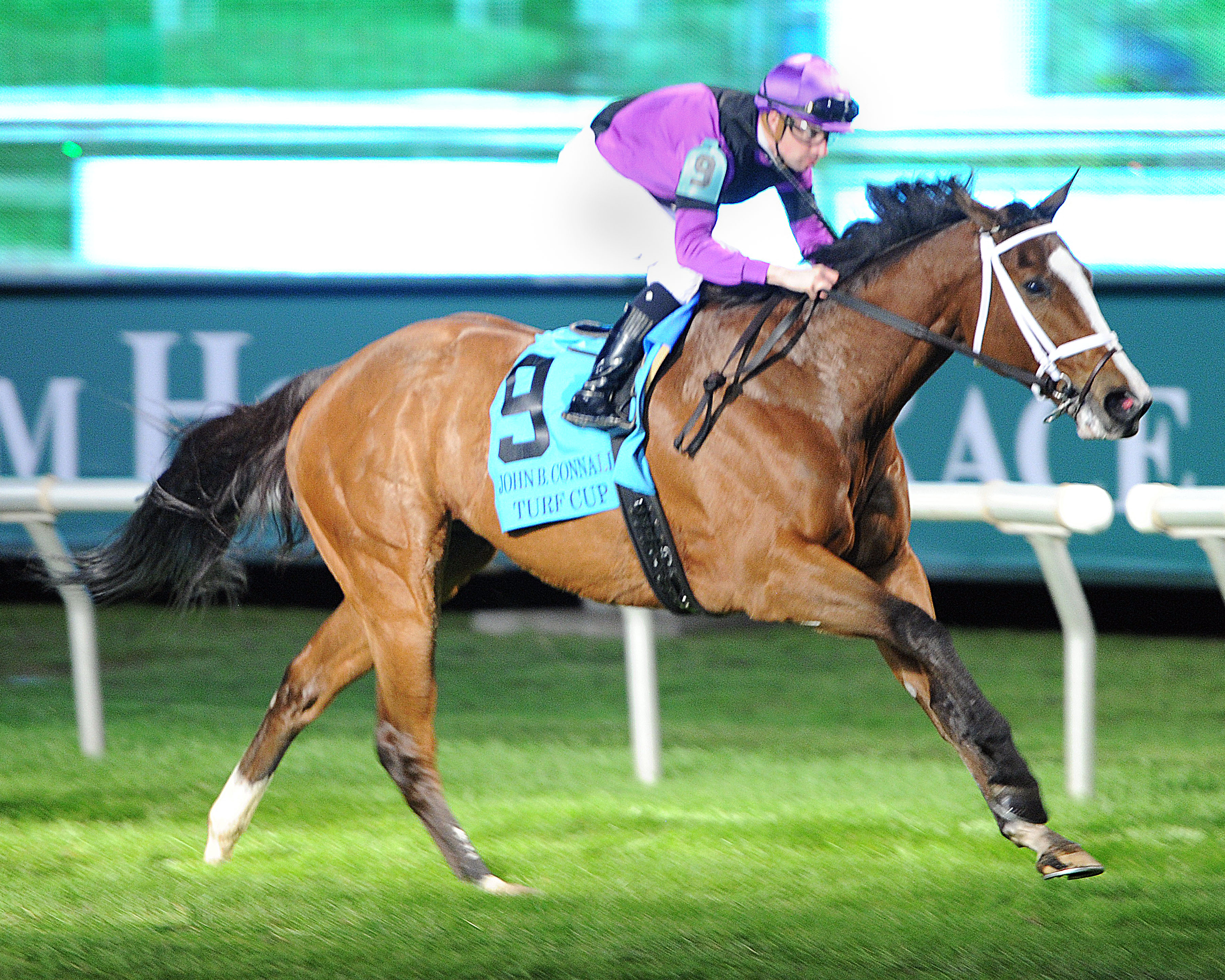 Dot Matrix wins the 2020 John B. Connally Turf Cup