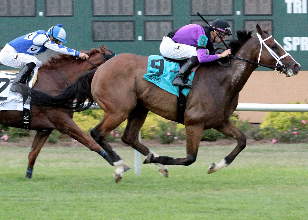 Dot Matrix wins the 2018 Warrior Veterans