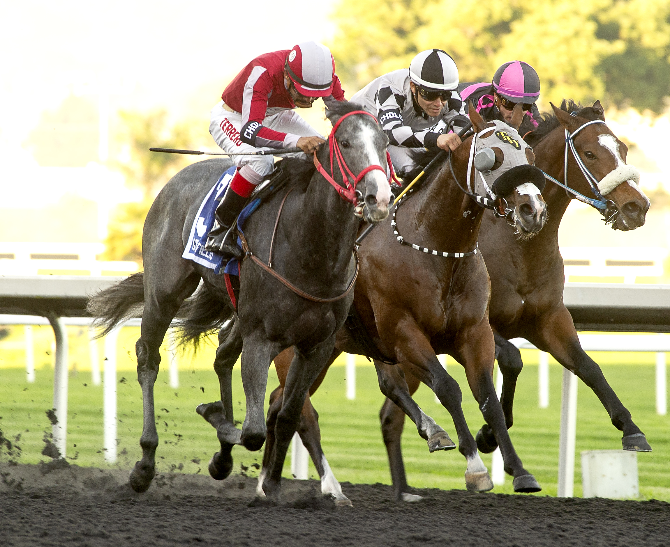 Dr Pescado (left) wins Golden Nugget 11-13-2021
