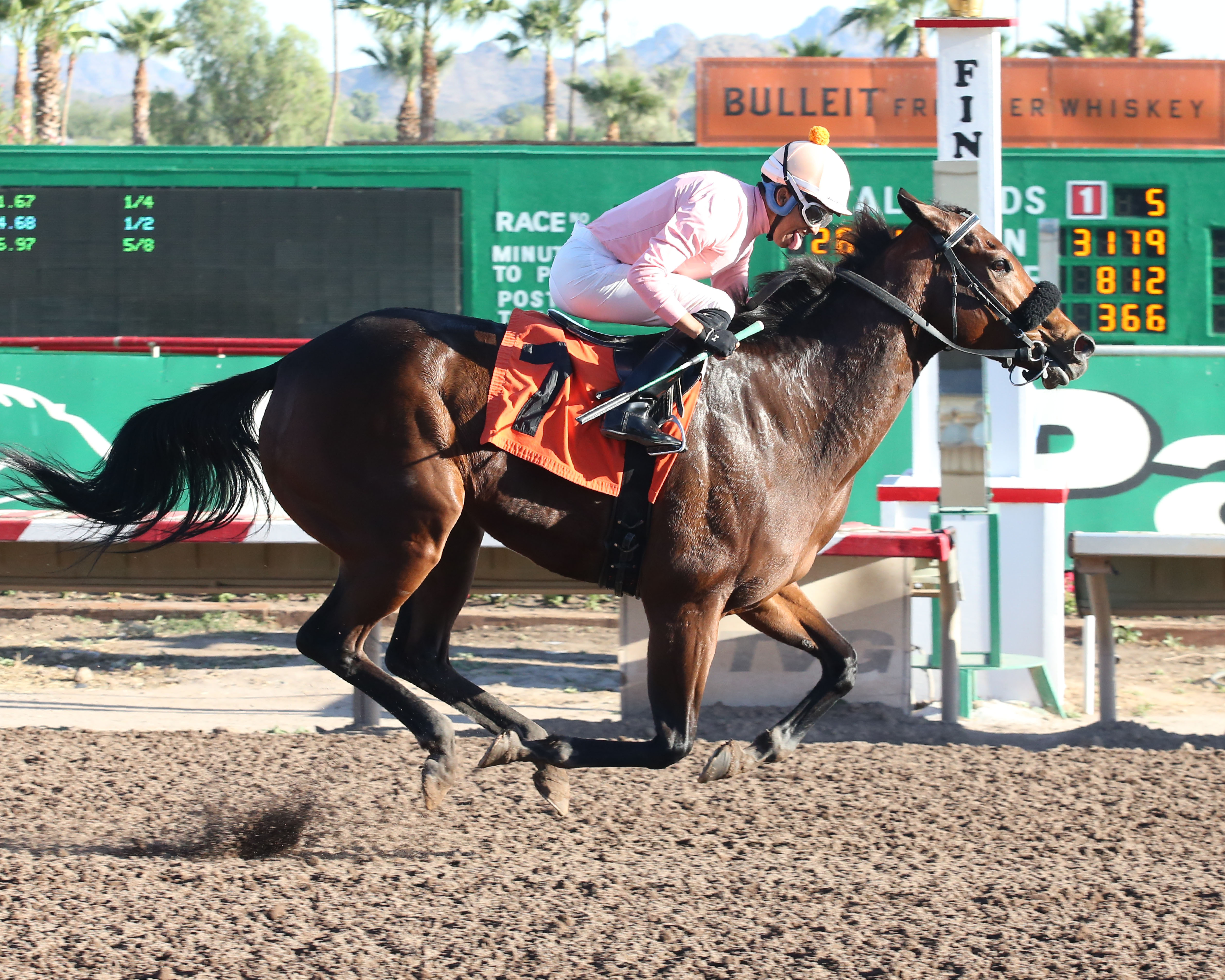 Dreamy Gal wins the 2019 Princess of Palms Stakes