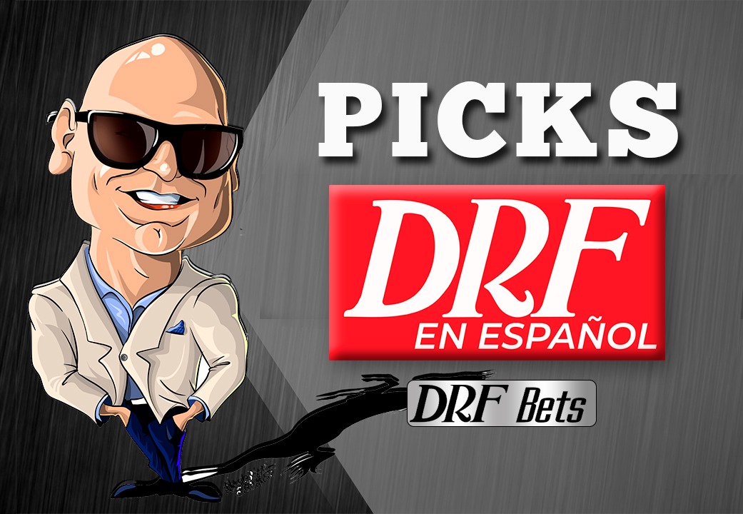 ElPotroRoberto Picks
