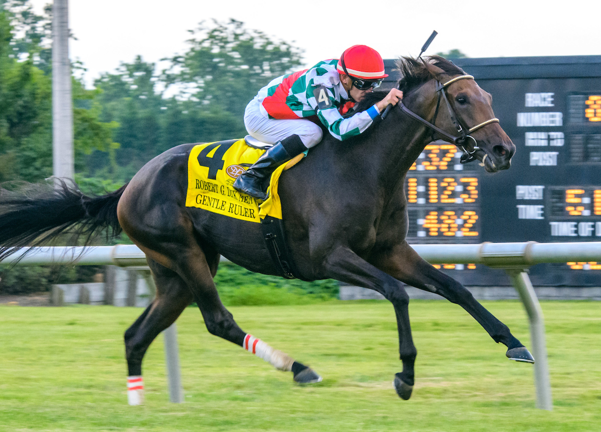 Gentle Ruler wins the 2019 Robert G. Dick Memorial
