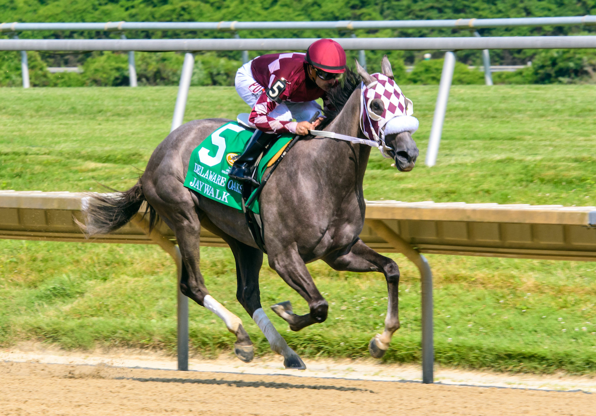 Jaywalk wins the 2019 Delaware Oaks