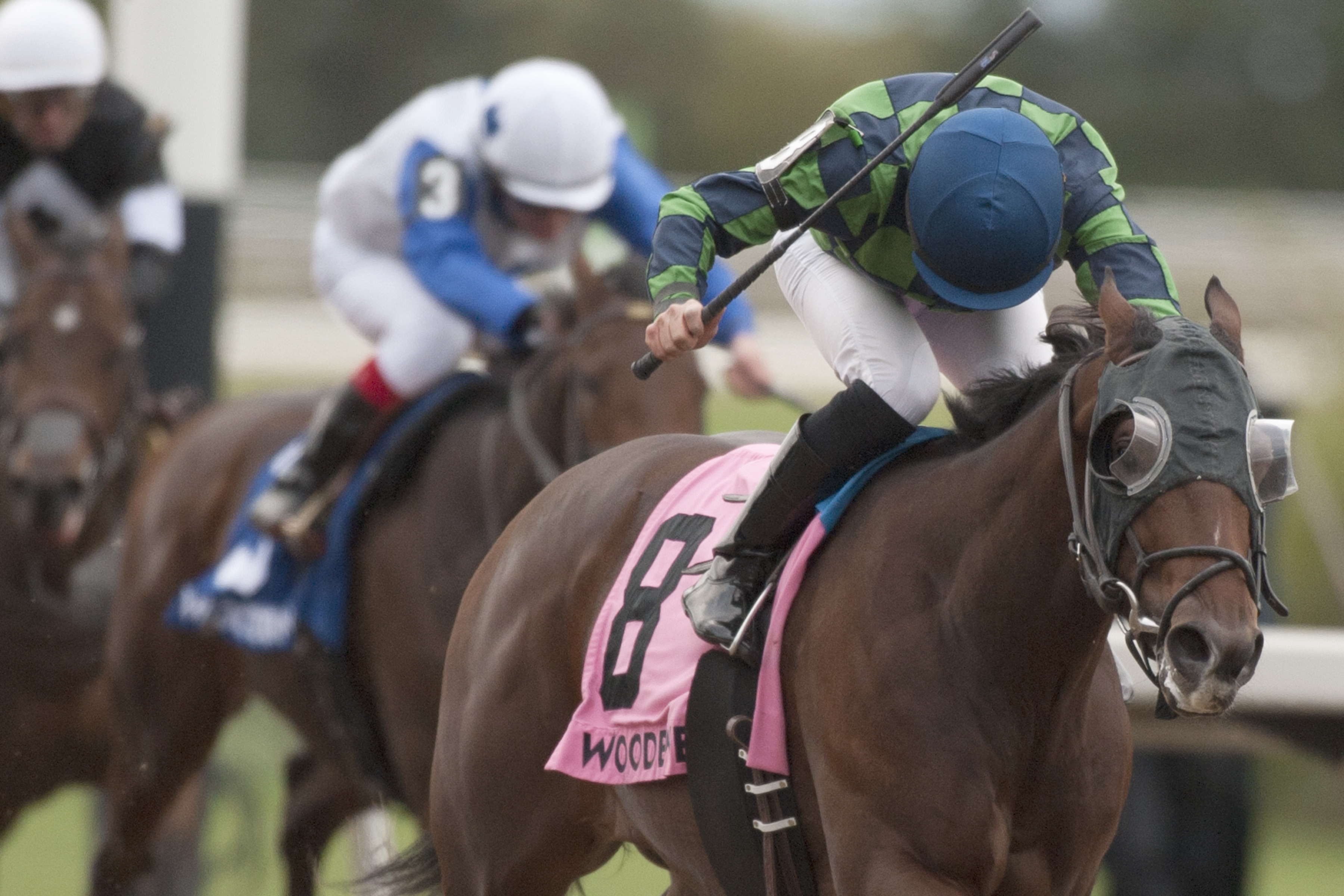 Solidify wins 2018 Grey Stakes