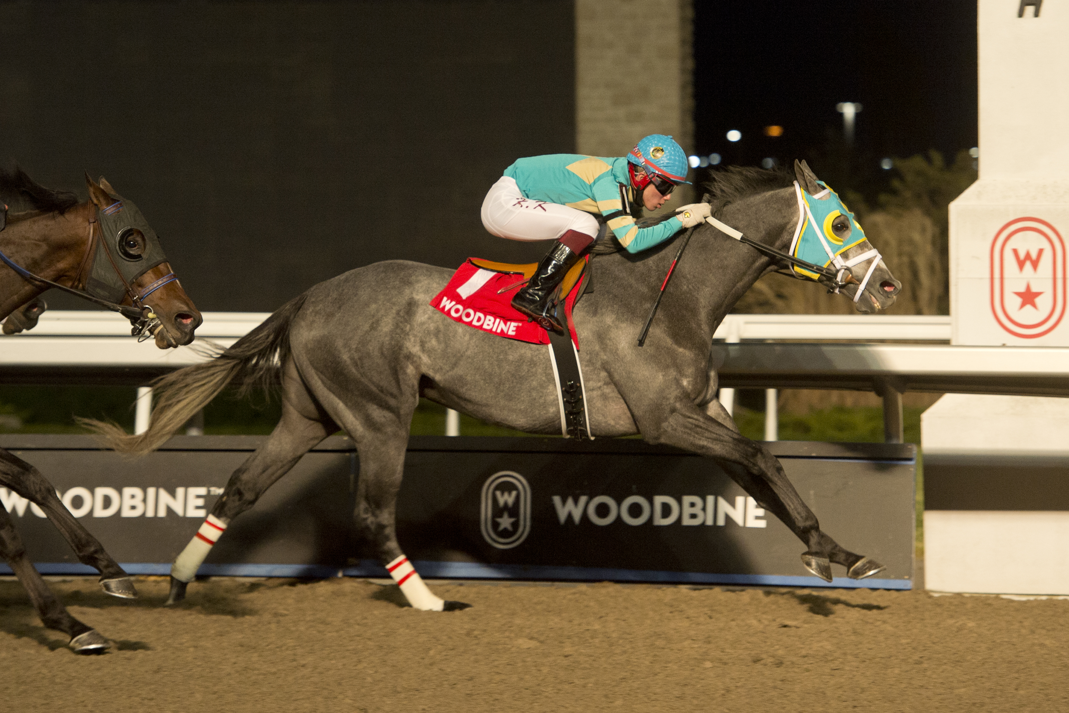 Field Pass wins Ontario Derby 11-21-2020