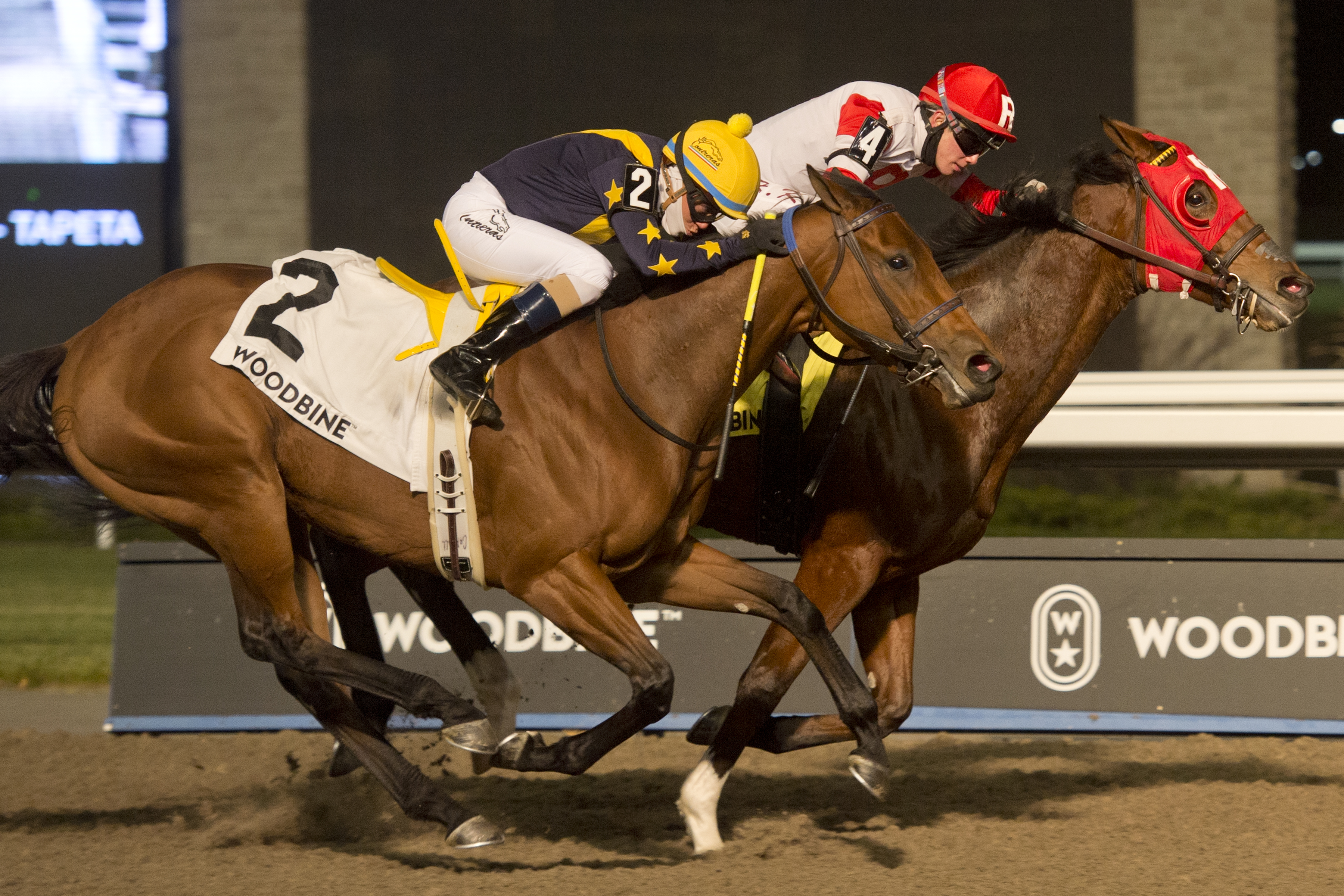 Artie's Princess wins Bessarabian Stakes 11-21-2020