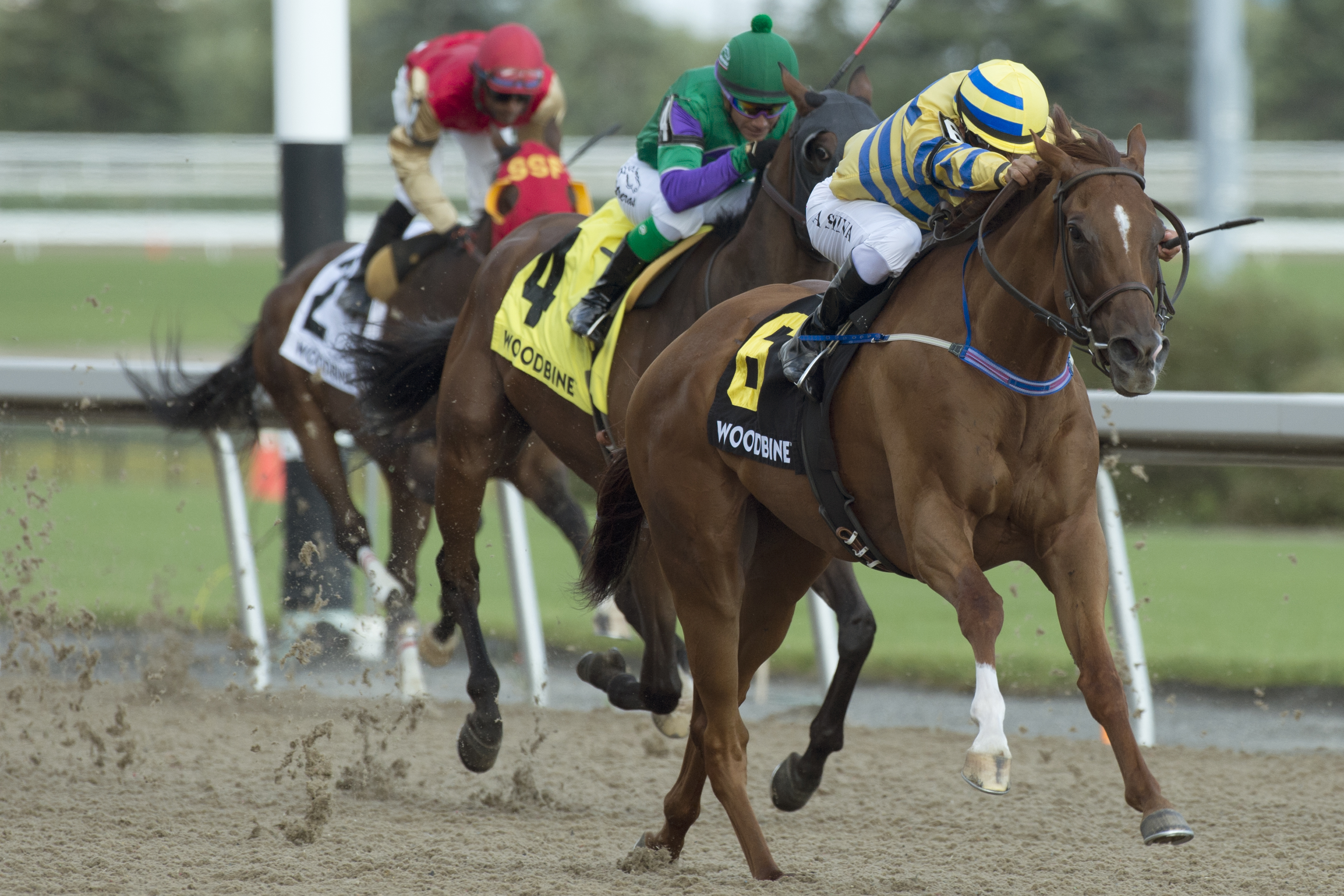 Pink Lloyd wins the 2018 Vigil Stakes