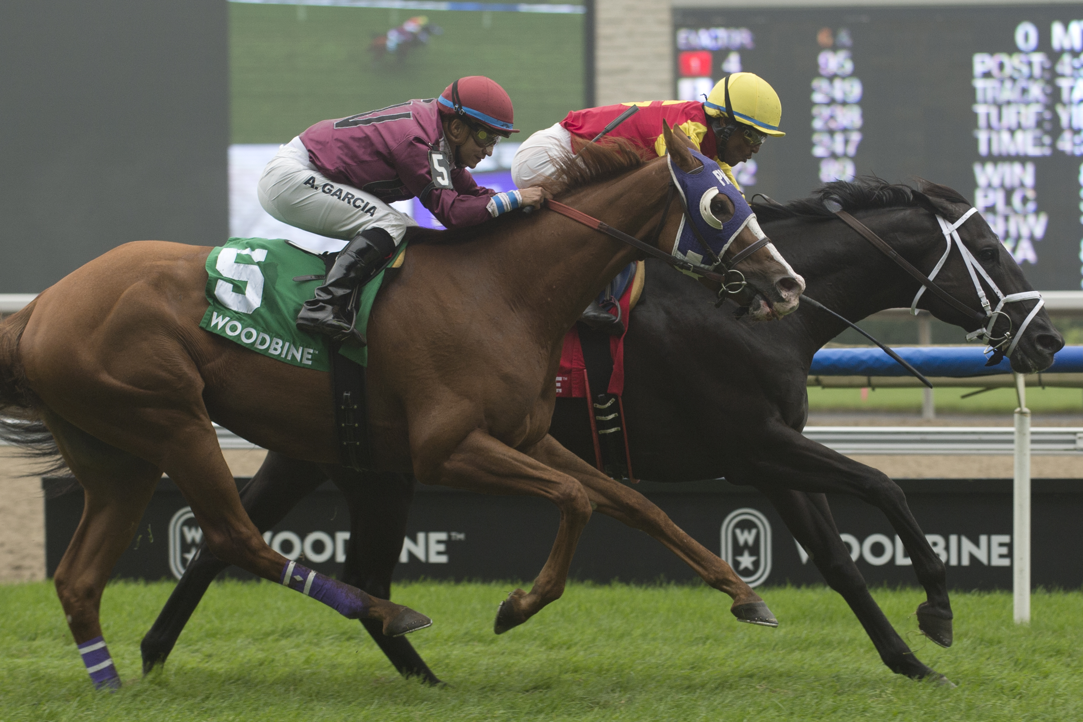 Kingsport (right) wins the 2018 Bunty Lawless Stakes