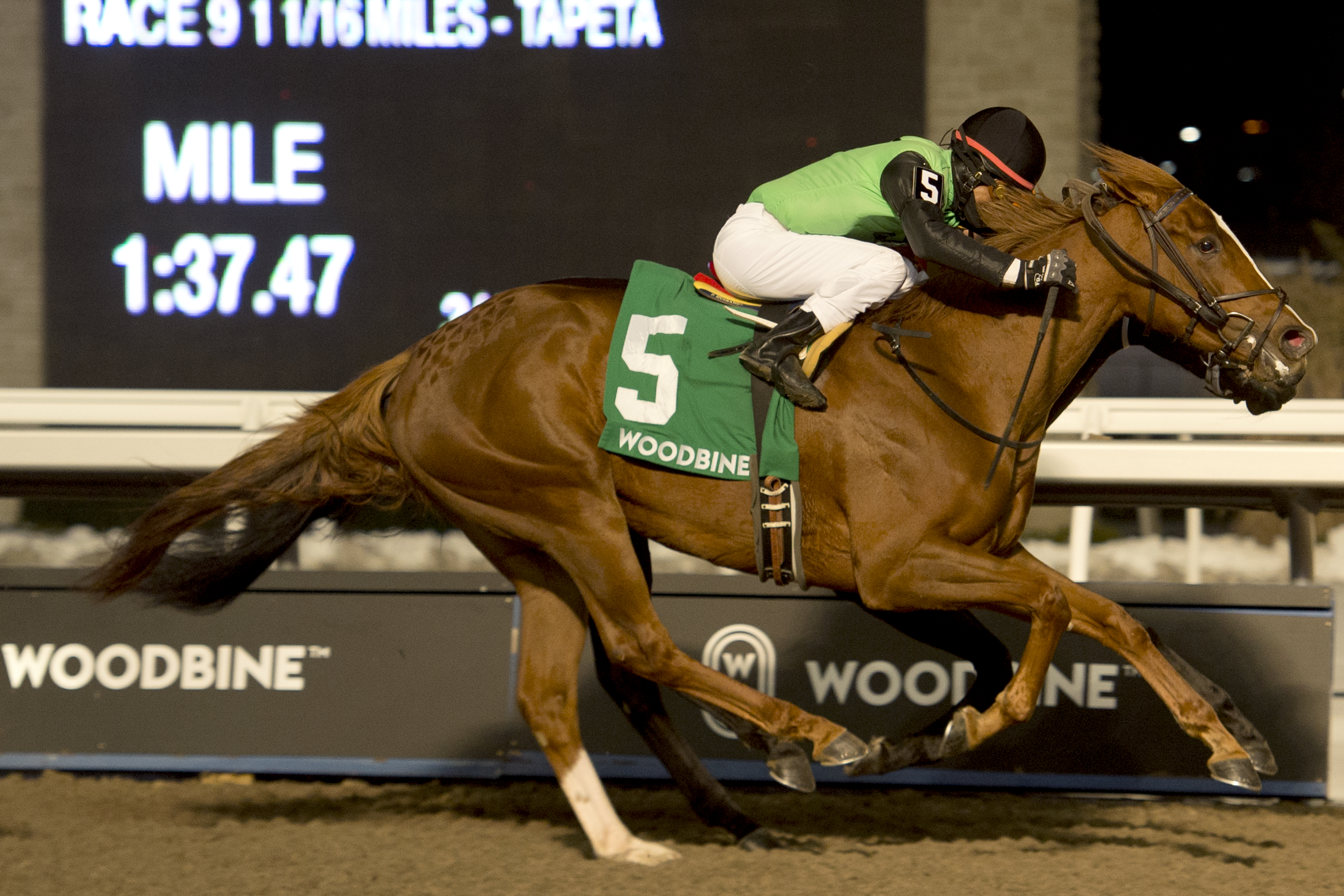 Curlin-s Voyage wins the 2019 Ontario Lassie Stakes