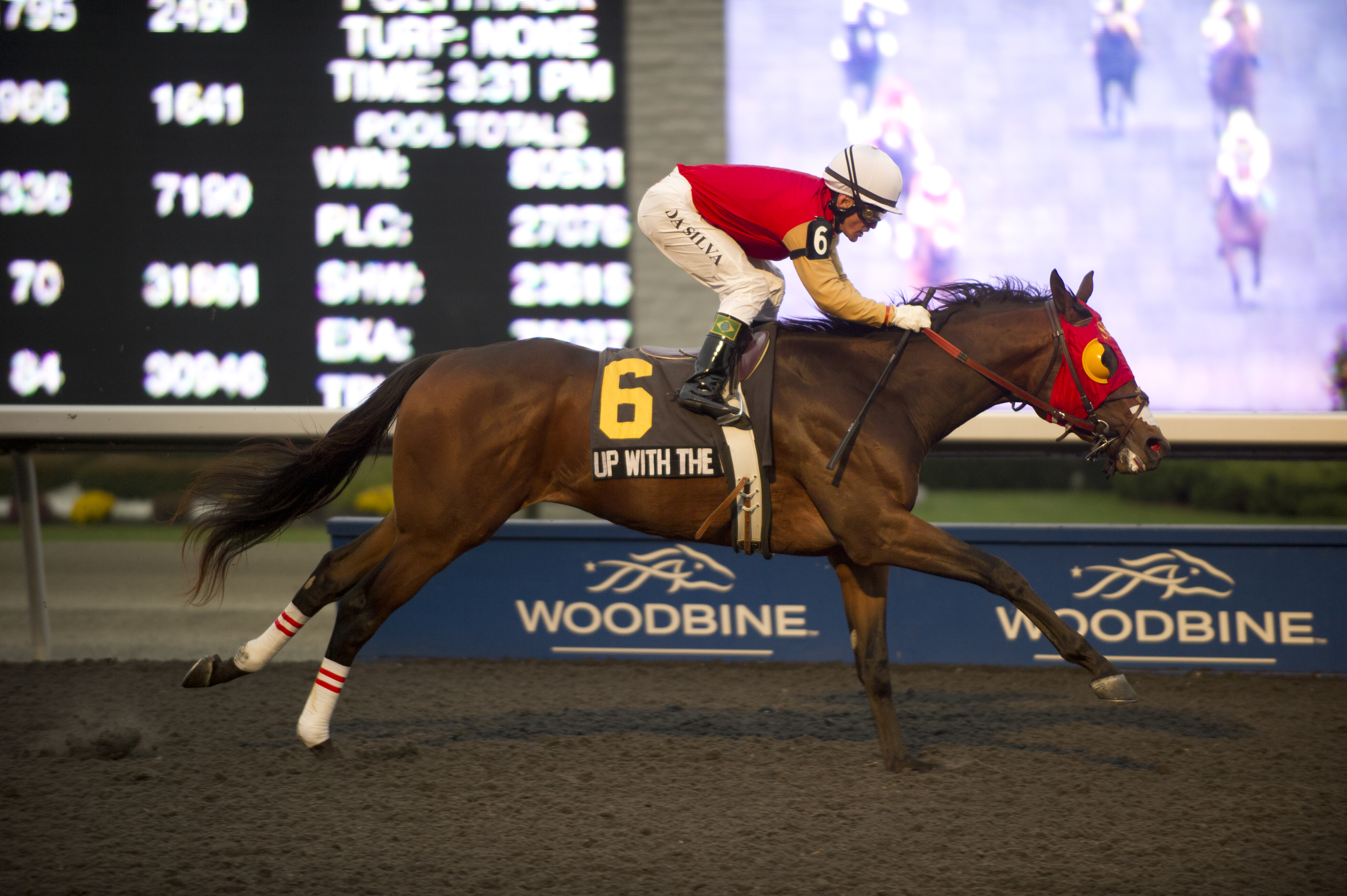 Up With the Birds/Coronation Futurity