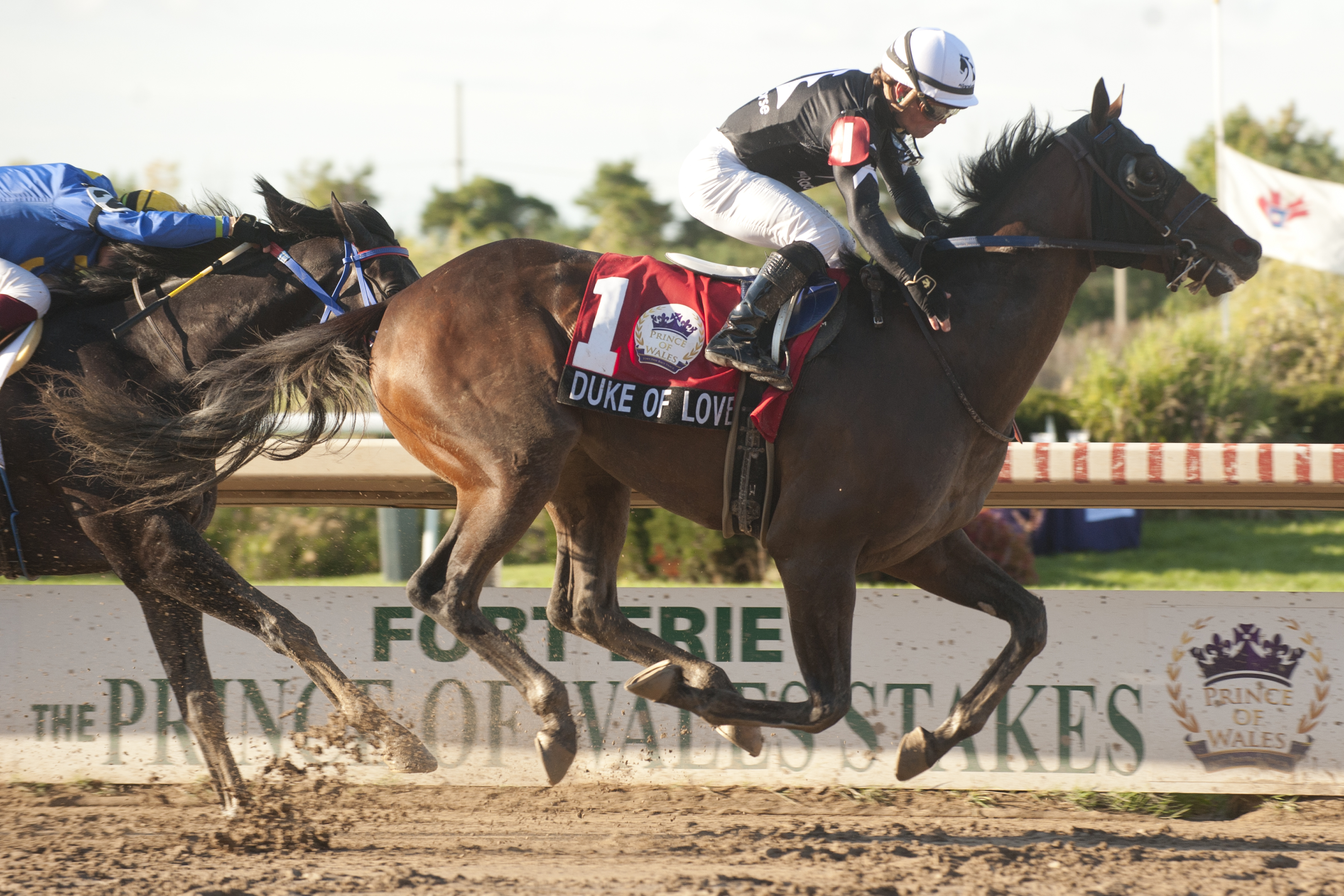 Duke of Love/Prince of Wales