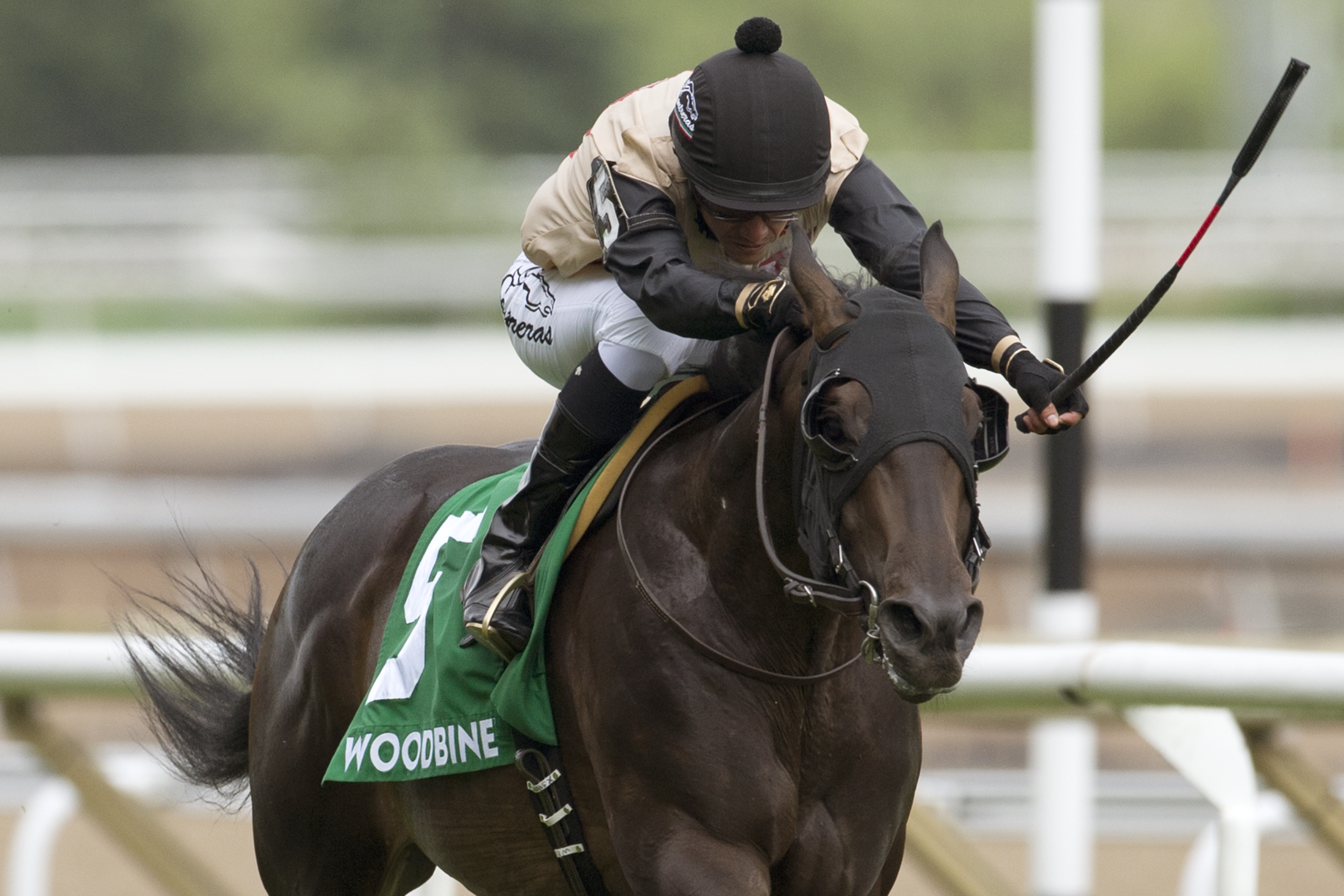Eskiminzin wins 2018 Bold Ruckus Stakes