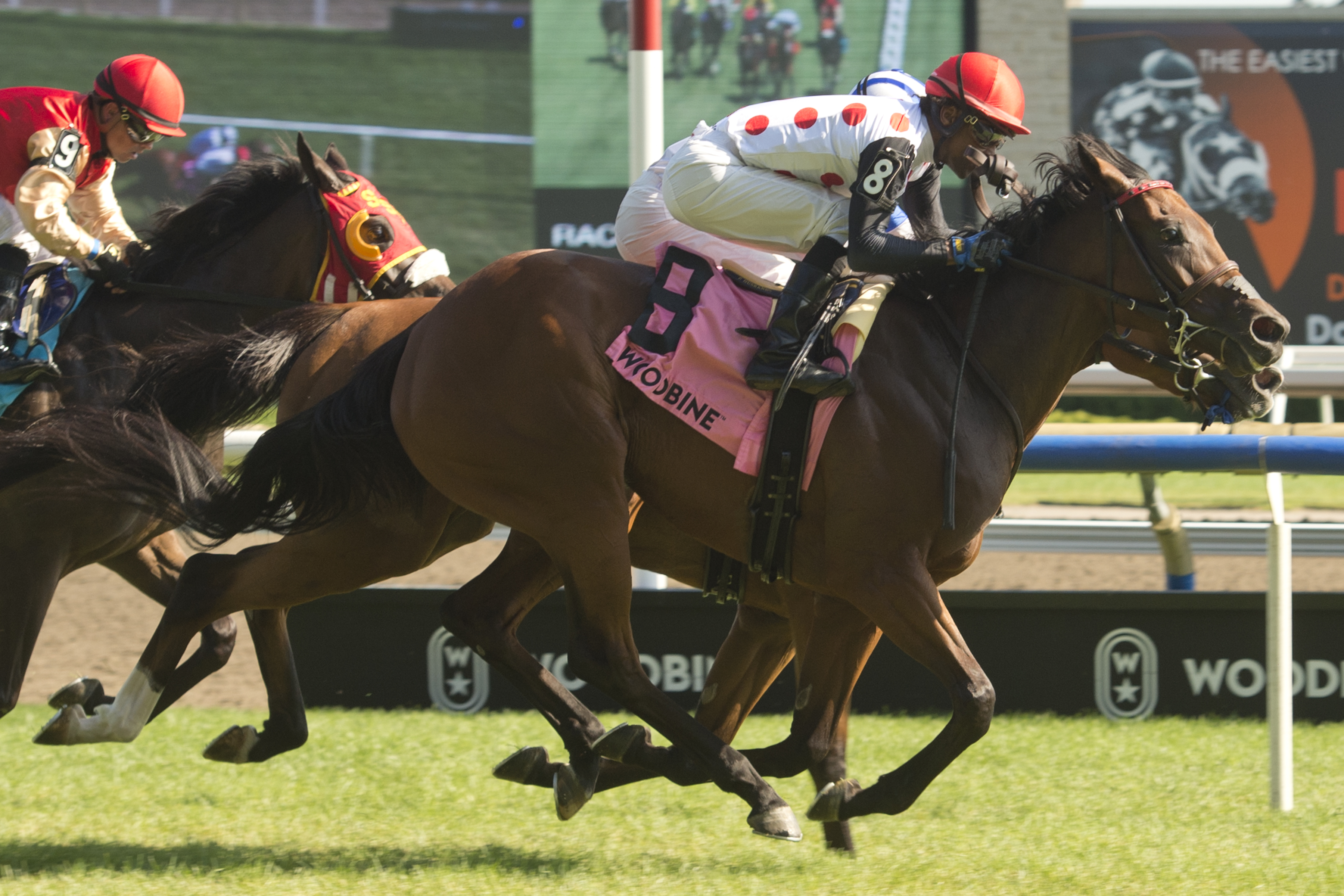 Souper Hoity Toity wins Ontario Colleen 8-6-2022