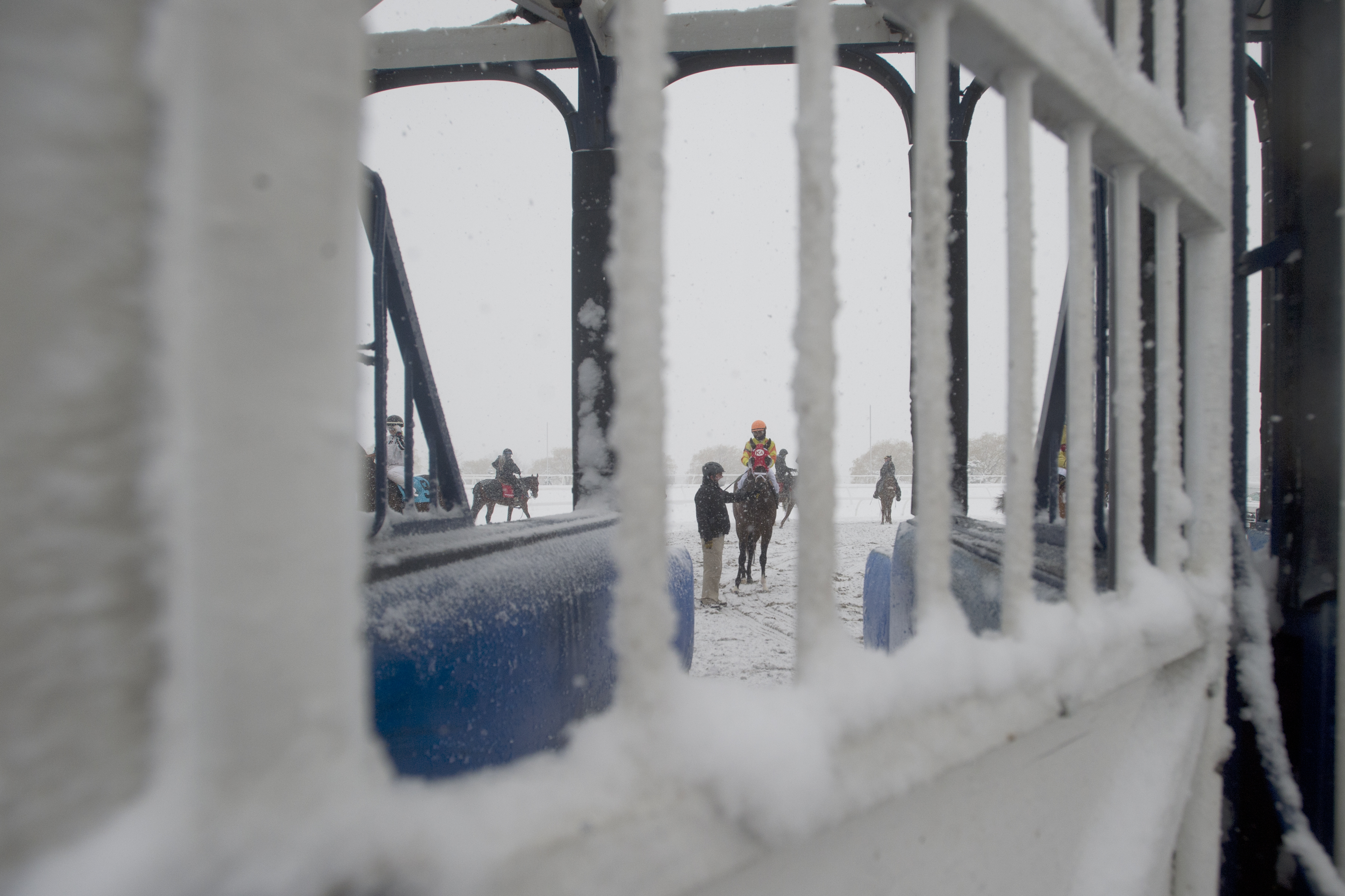 Woodbine Starting Gate