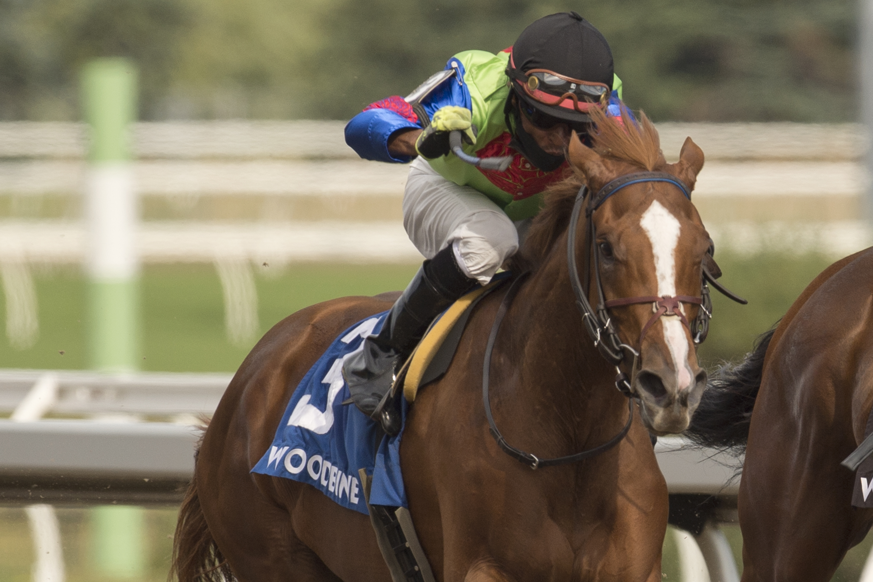 Curlin's Voyage/Fury