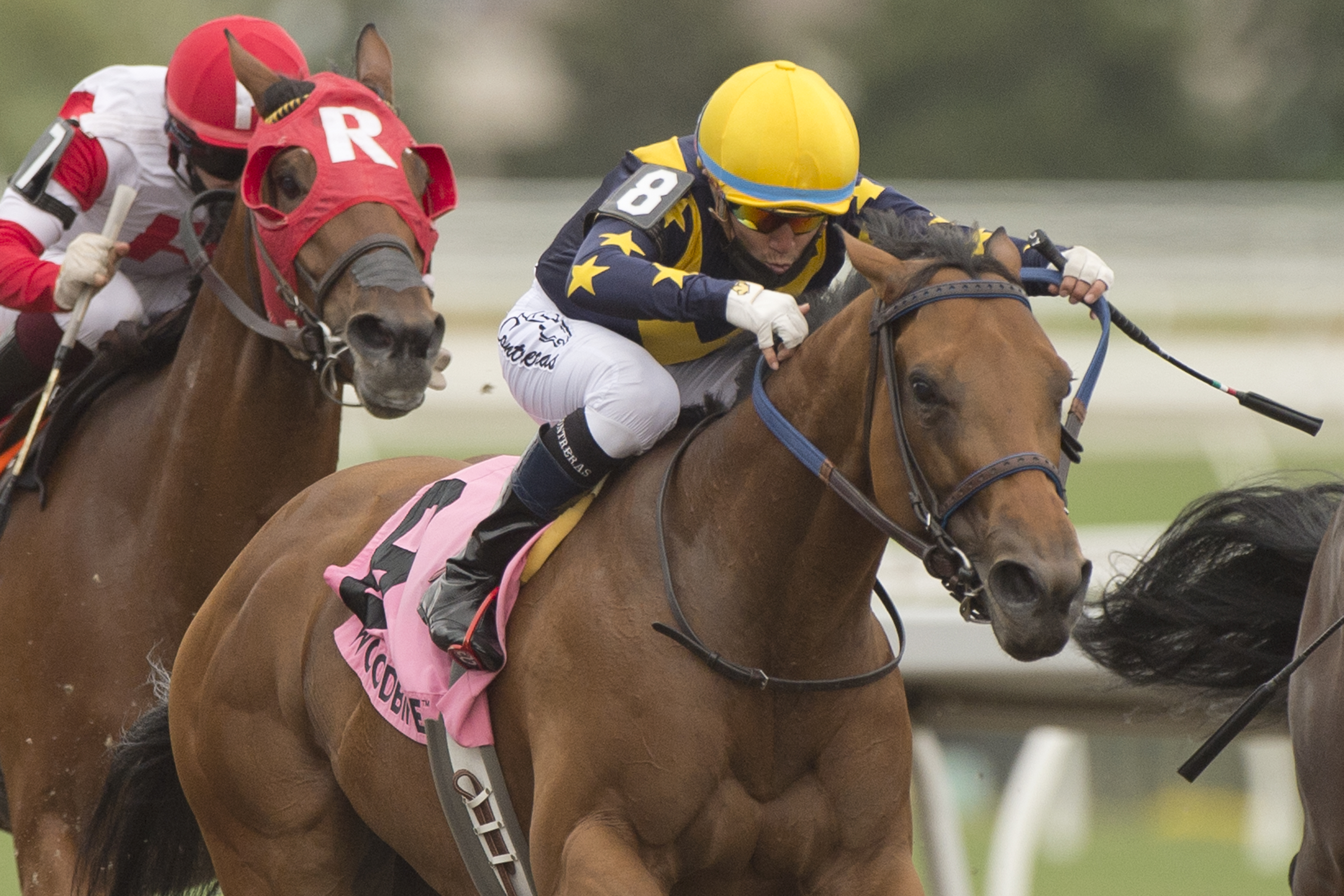 Boardroom wins the Whimsical 6-19-2021