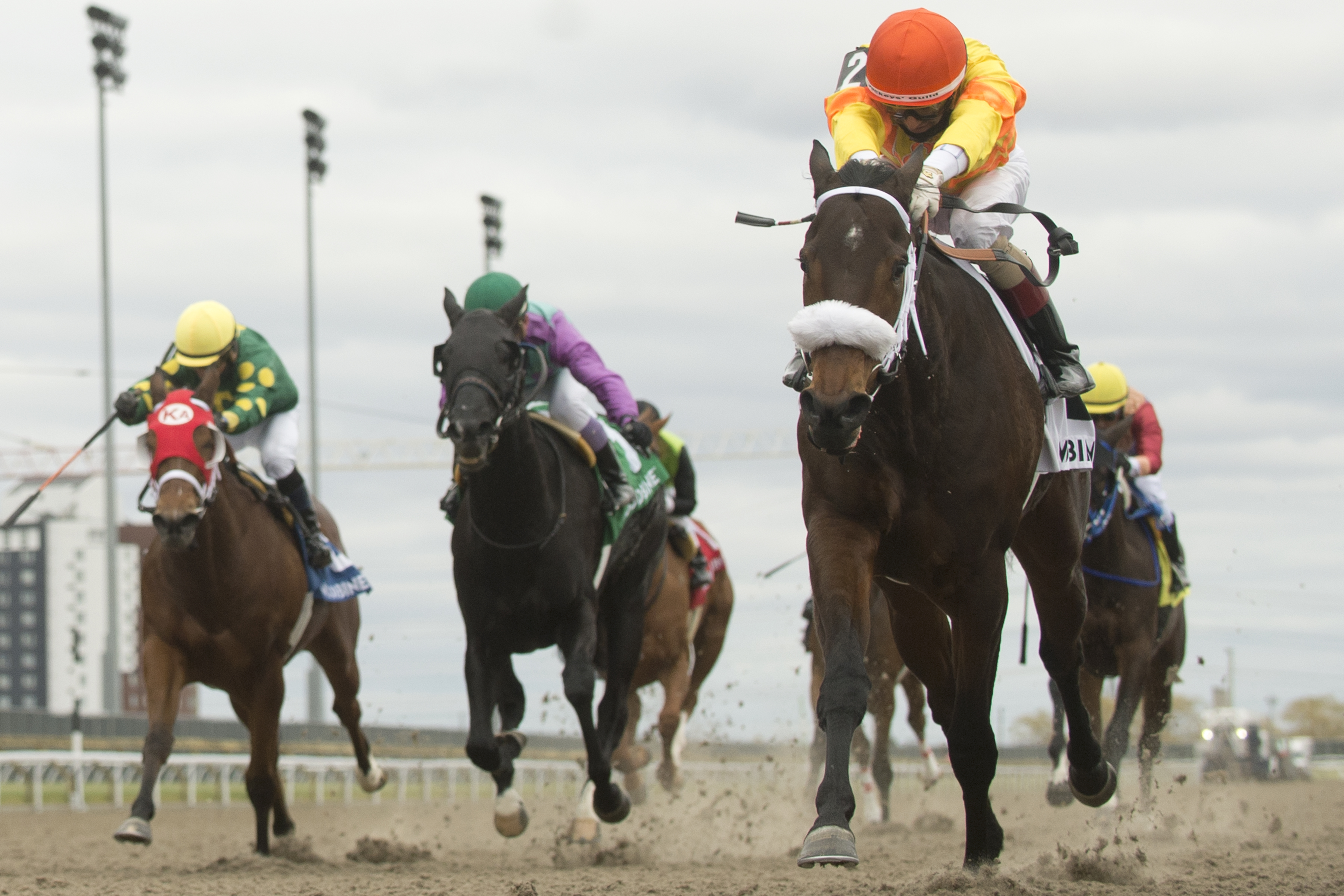 Merveilleux wins Ontario Damsel 11-21-2020