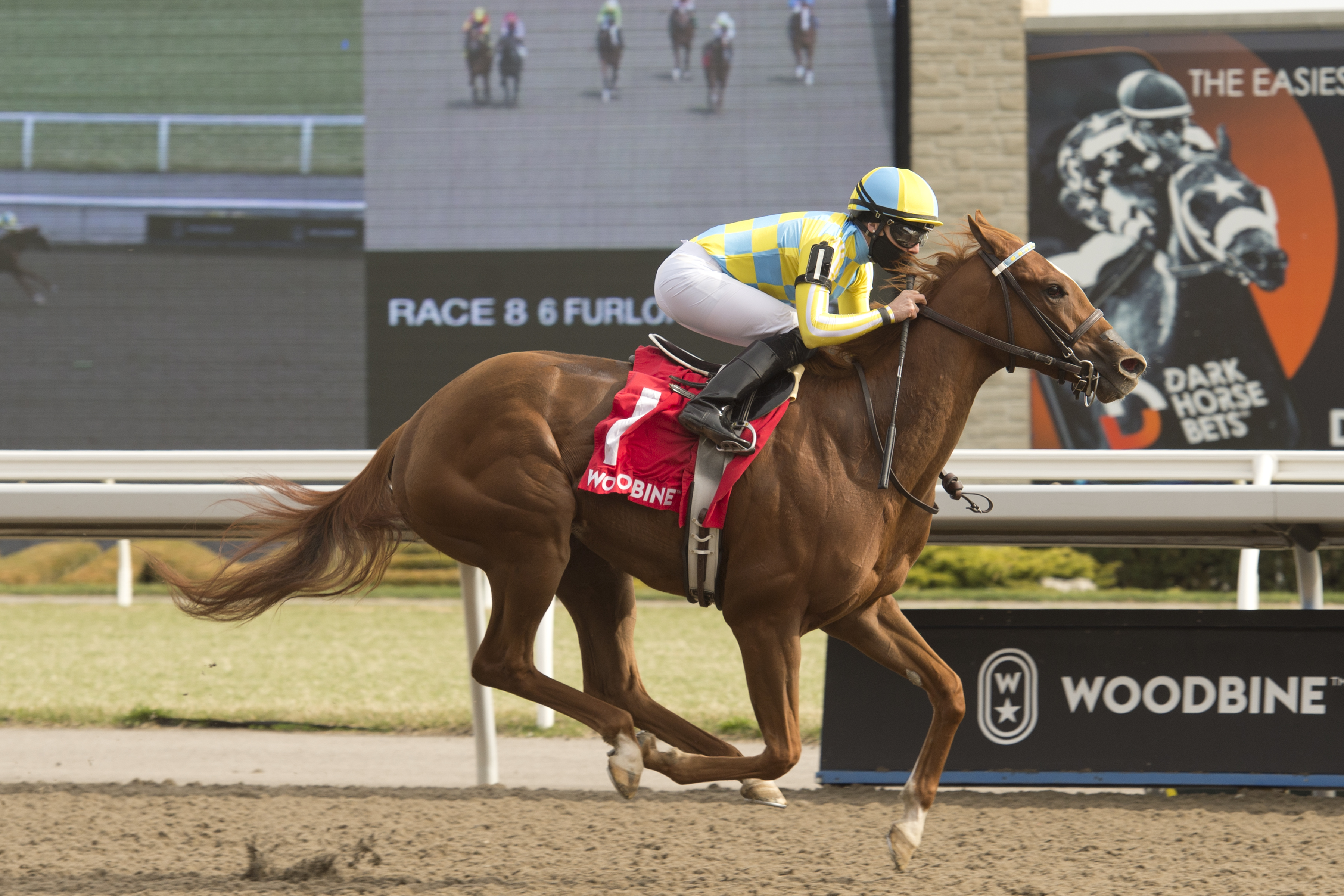 Beautiful Empire wins Star Shoot 4-30-2022