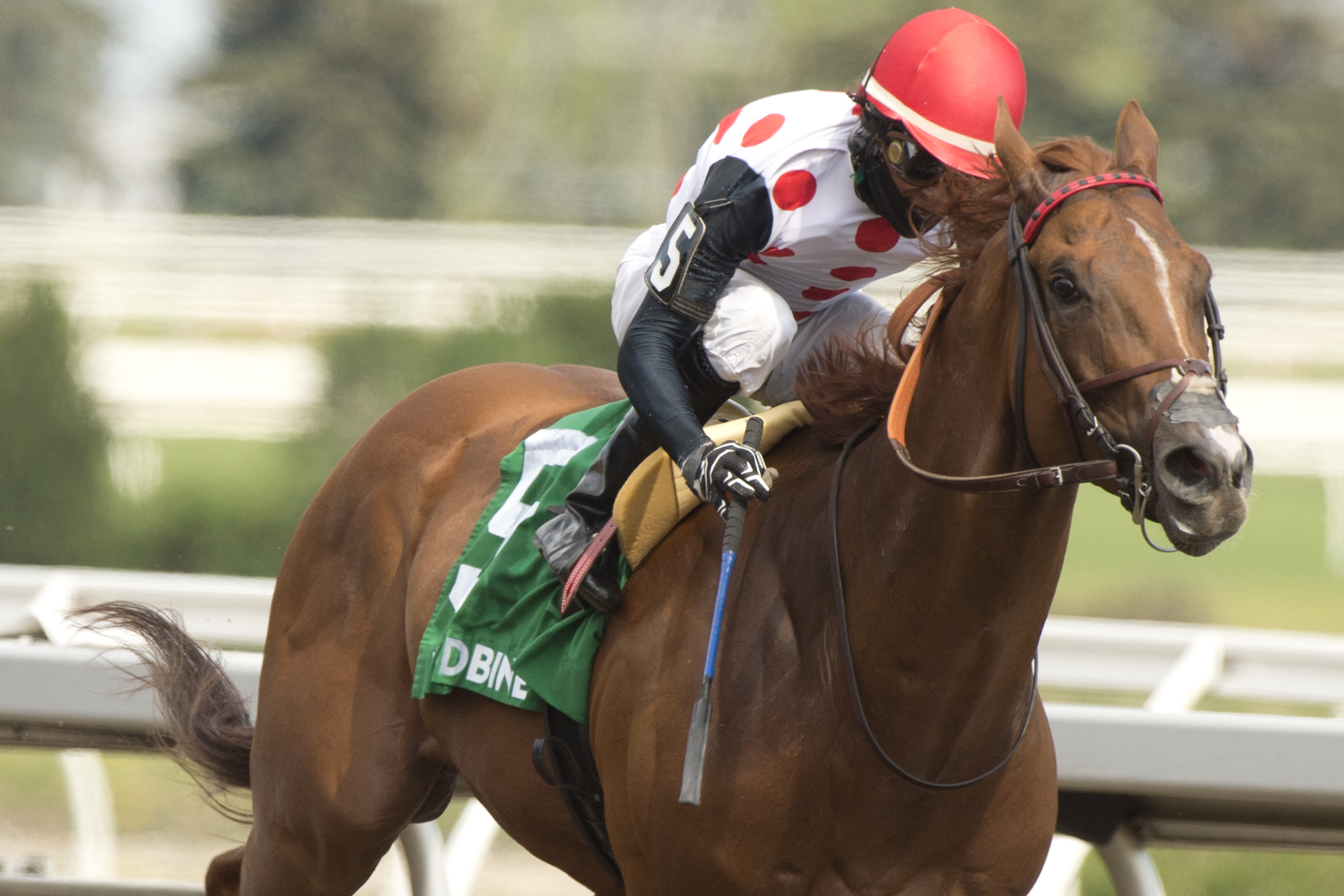 Souper Stonehenge wins Cartier 6-20-2021