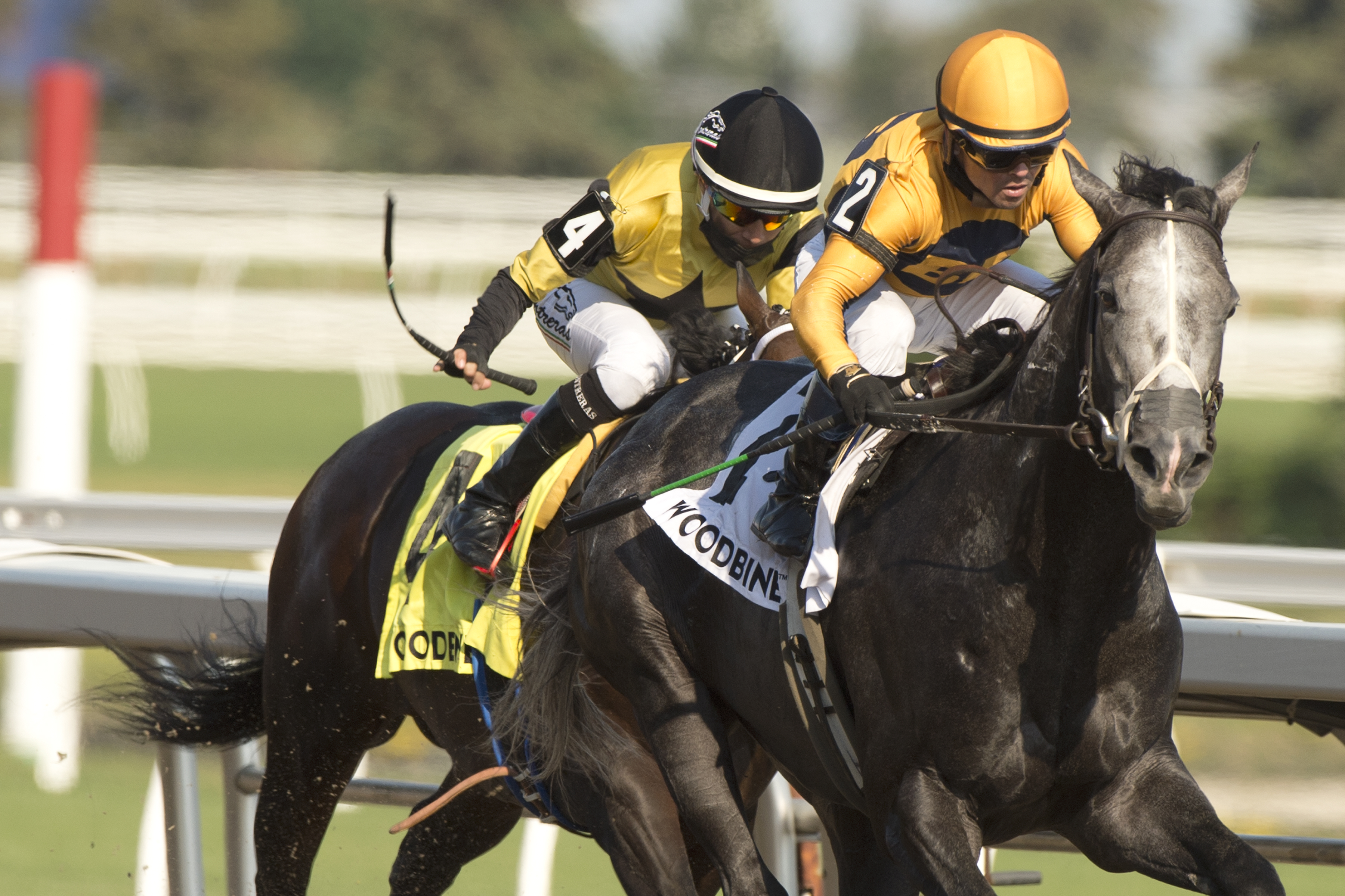Outadore (2) wins Woodstock Stakes 6-20-2021
