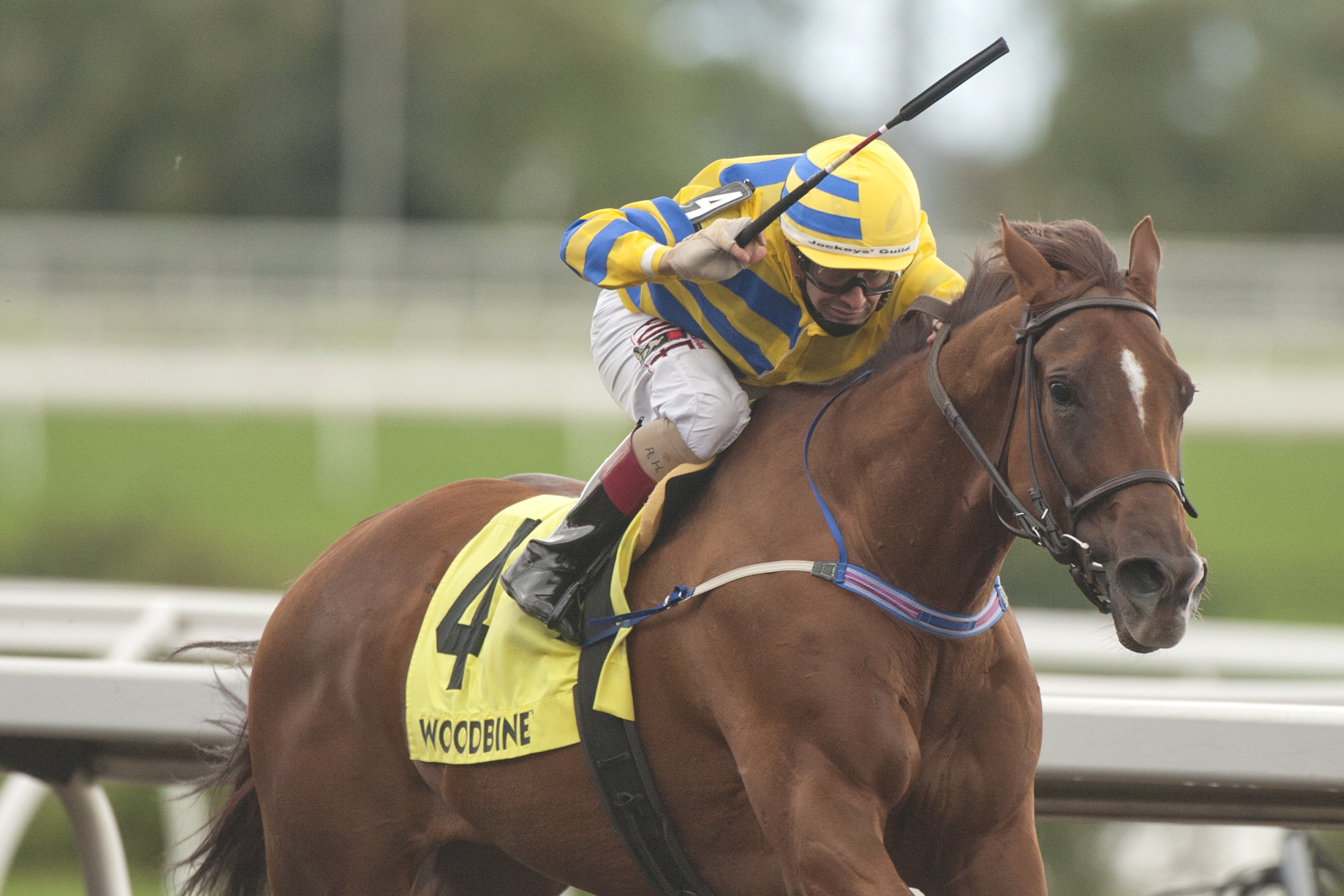 Pink Lloyd wins Bold Venture Stakes 9-25-2021