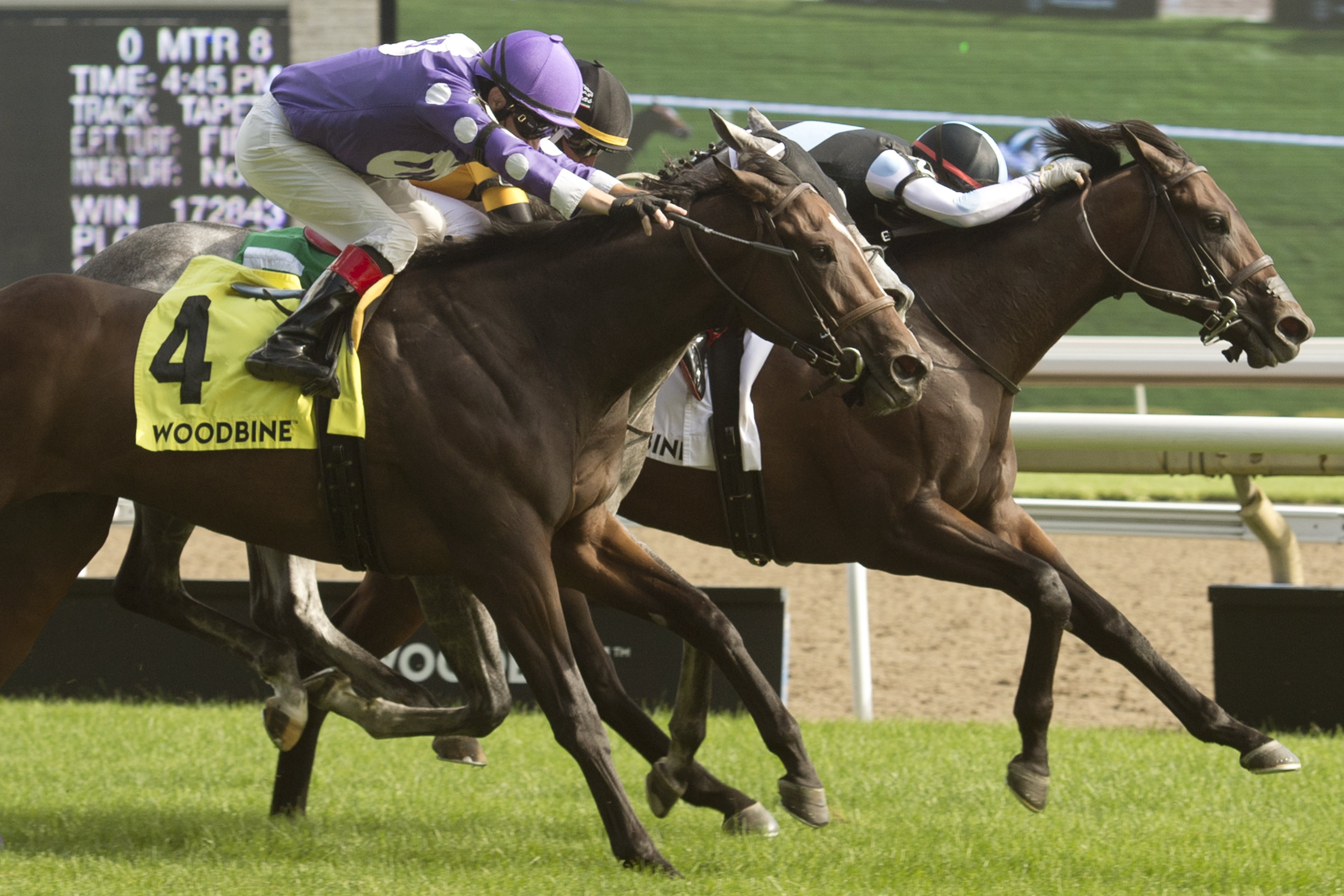 Gretzky the Great (right) win Greenwood Stakes 8-14-2021