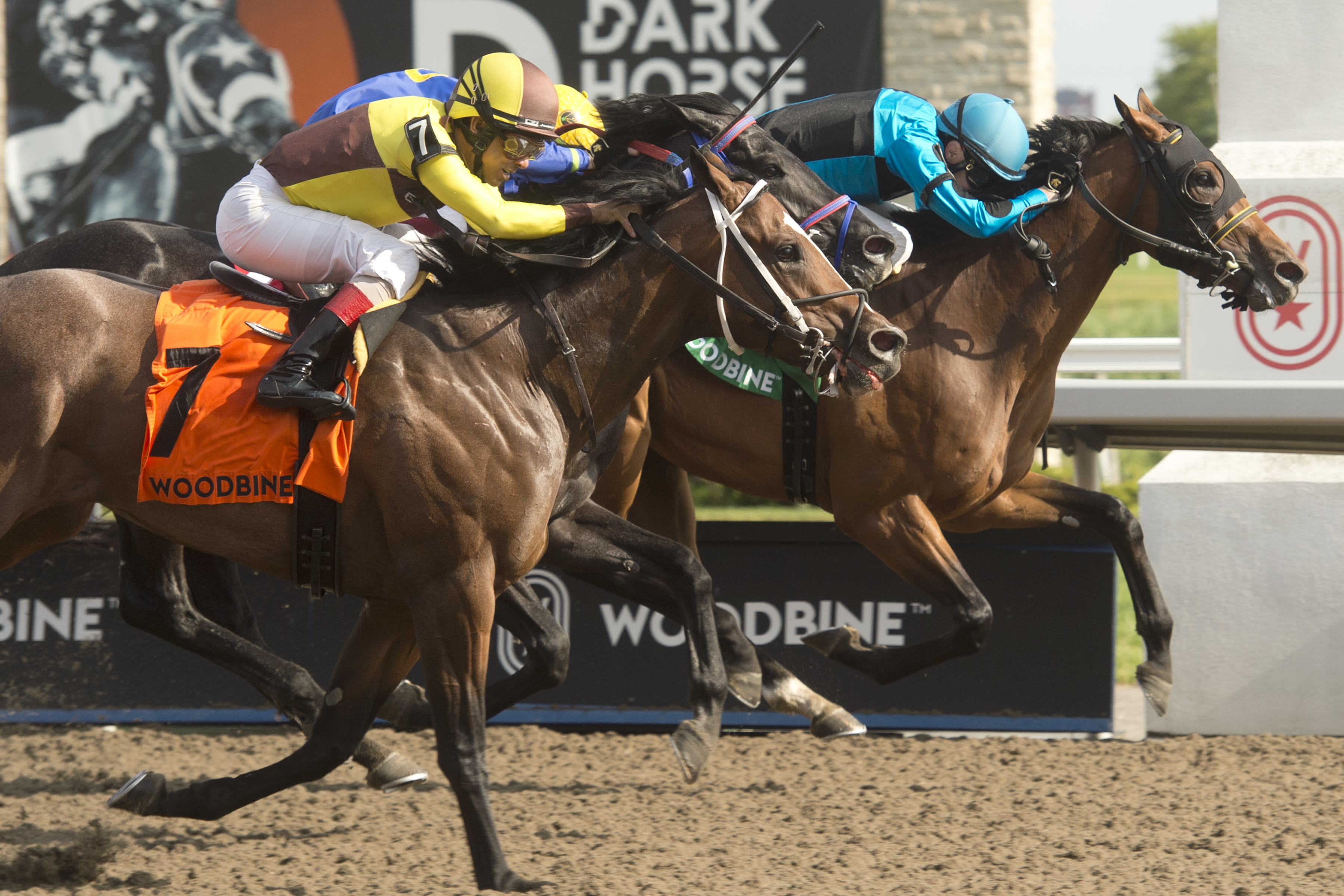 The Minkster (right) wins Queenston 6-12-2022