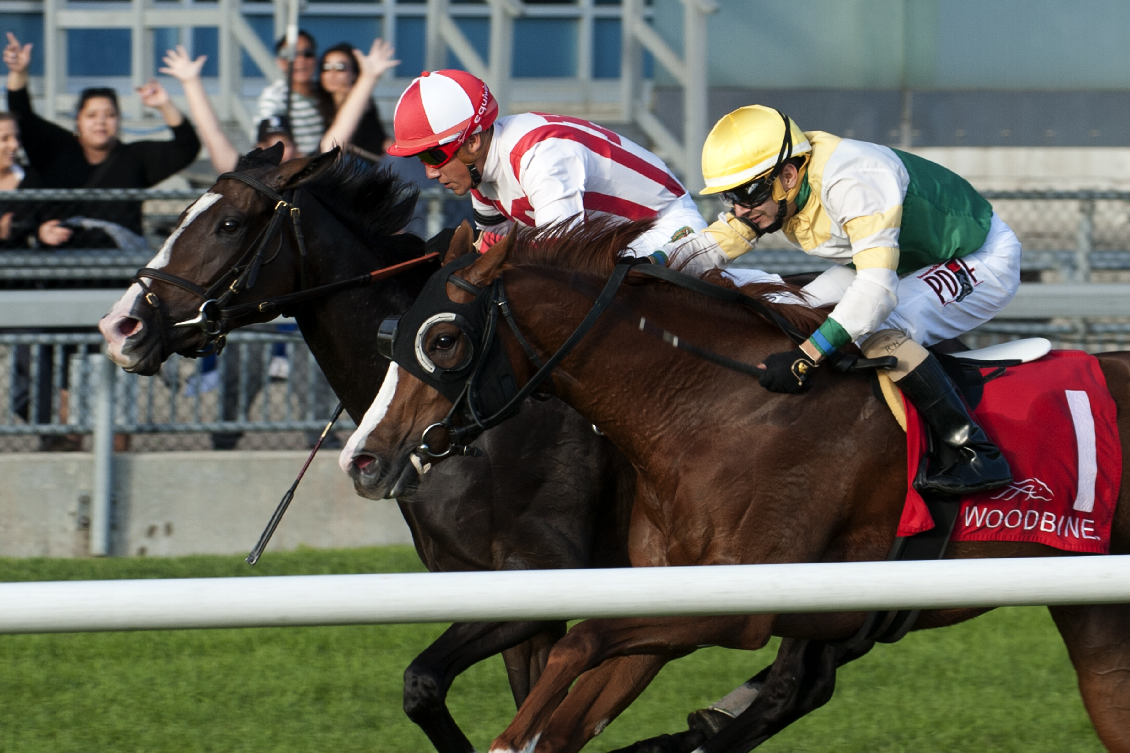 Inflexibility wins Carotene