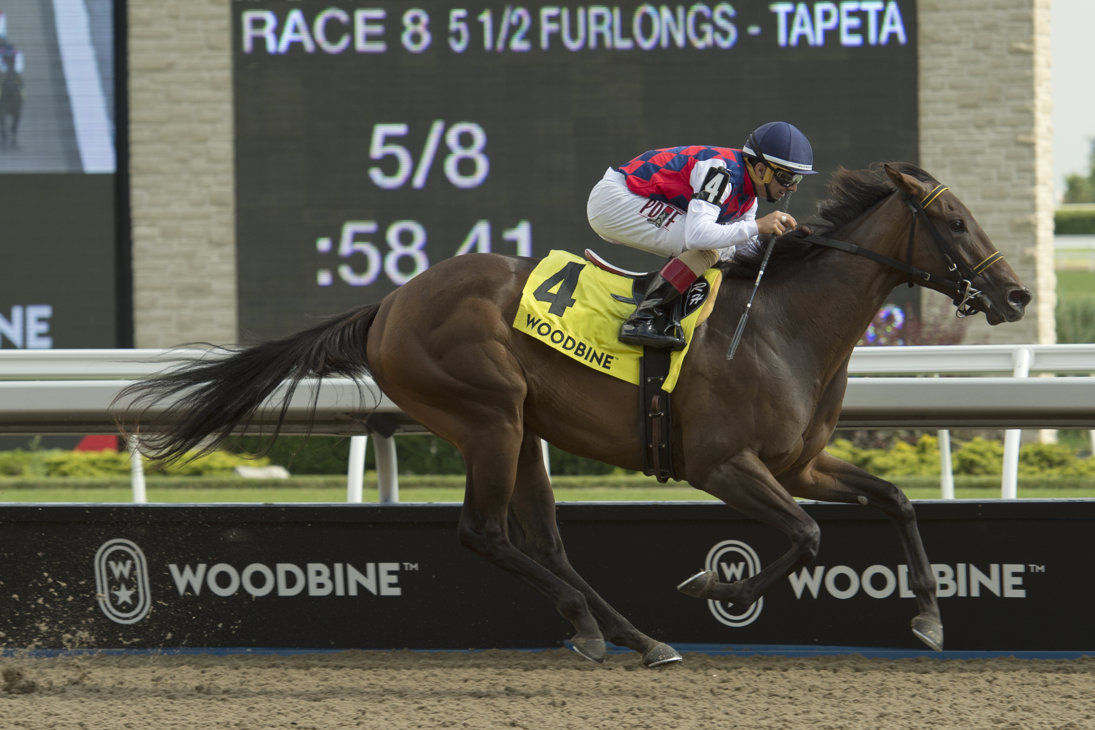 Fast Scene wins the 2019 My Dear Stakes