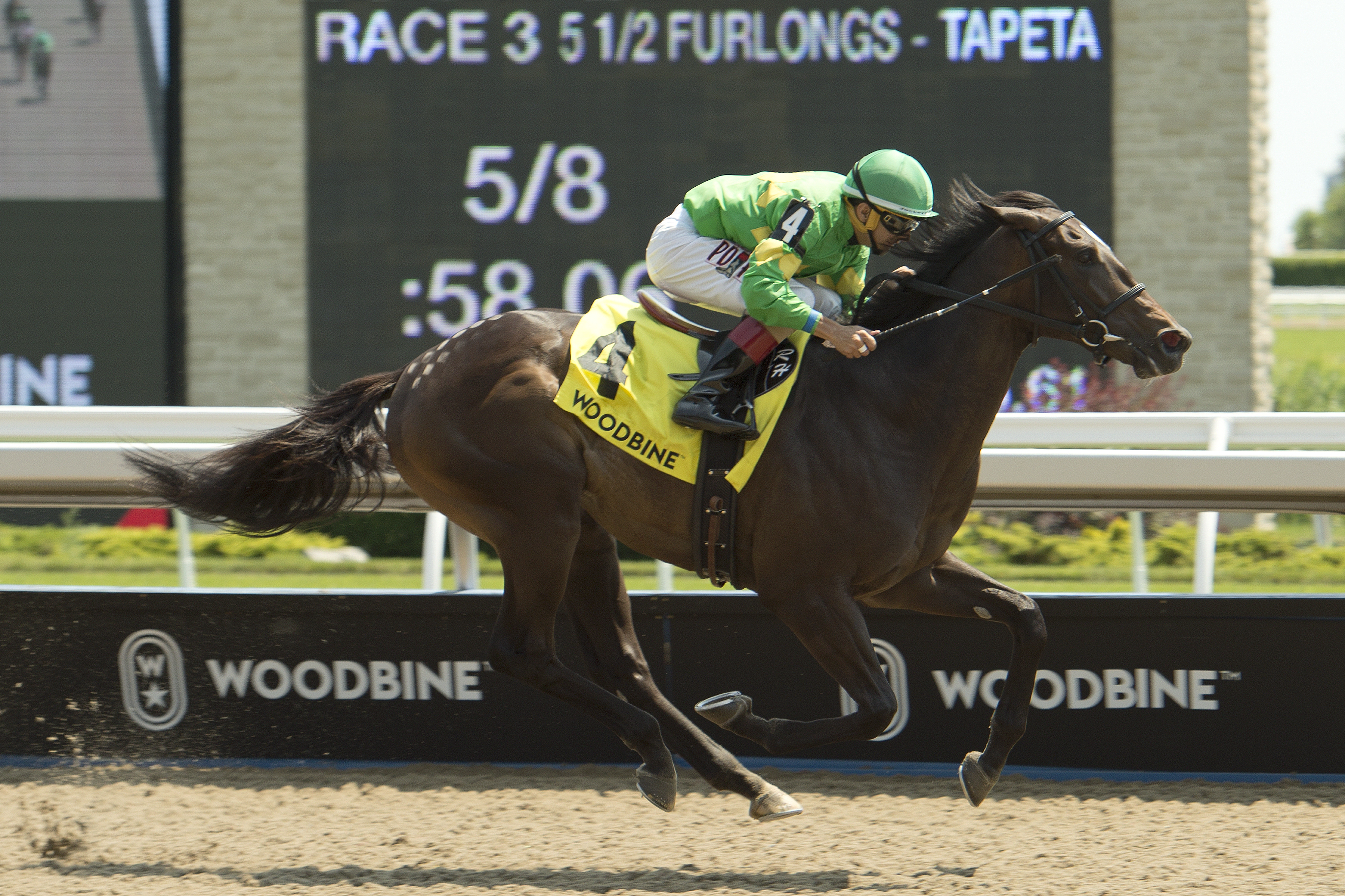 Mr. Hustle wins the 2019 Victoria Stakes