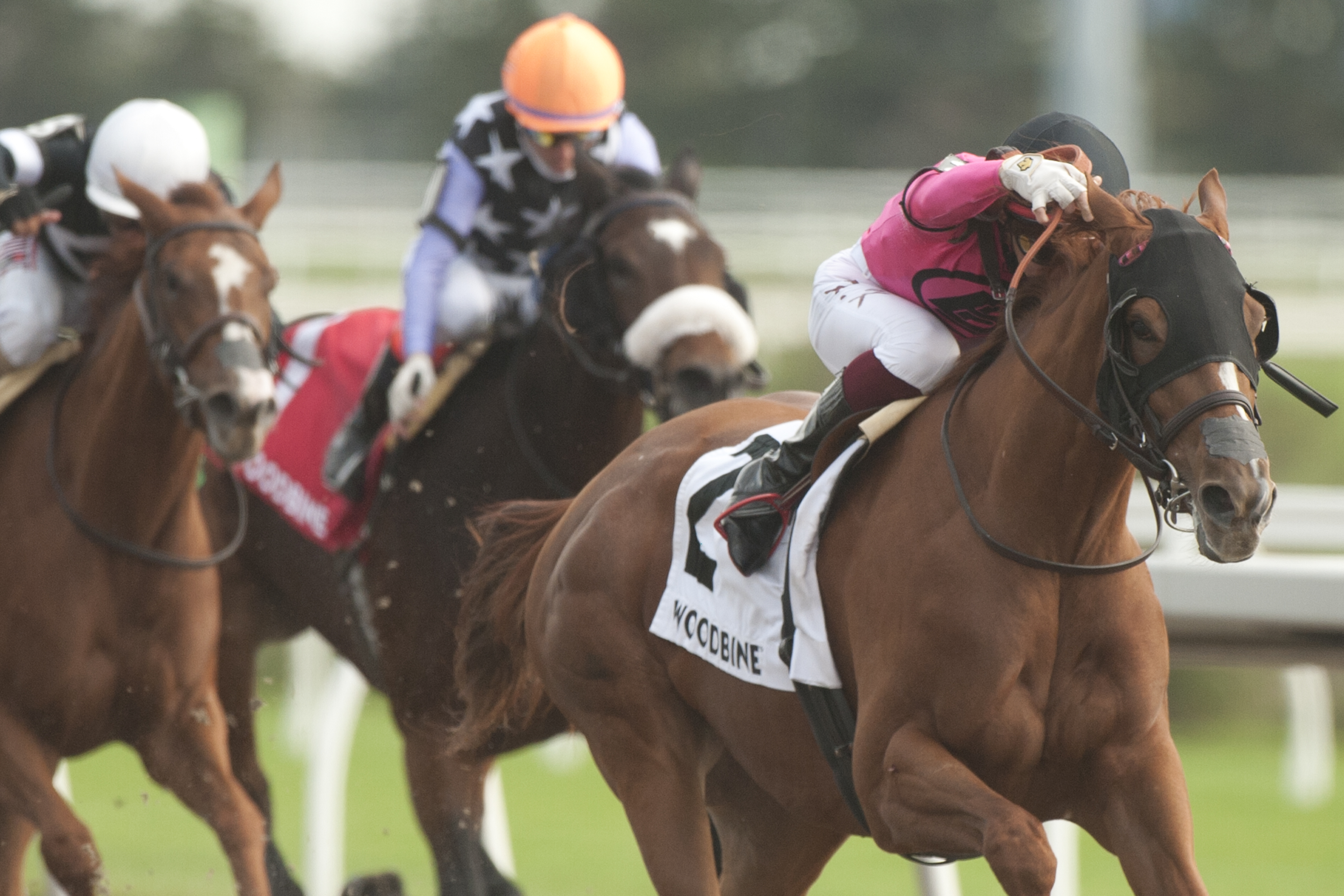 Our Secret Agent wins Hendrie Stakes 10-23-2021