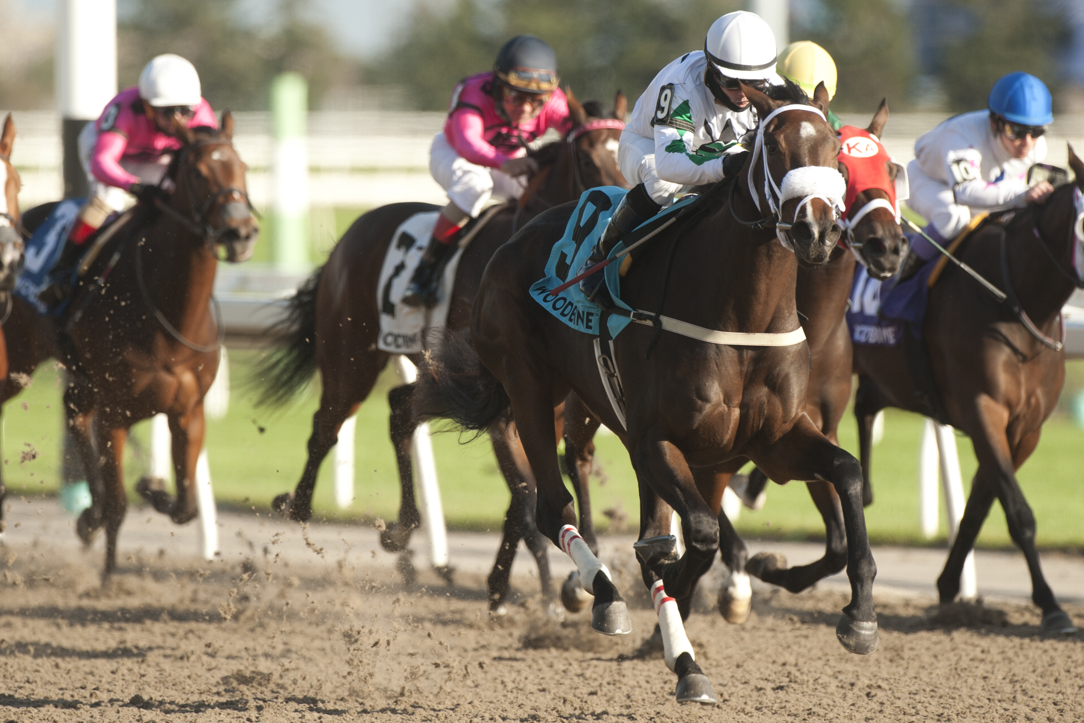 Moira wins Princess Elizabeth Stakes 10-23-2021