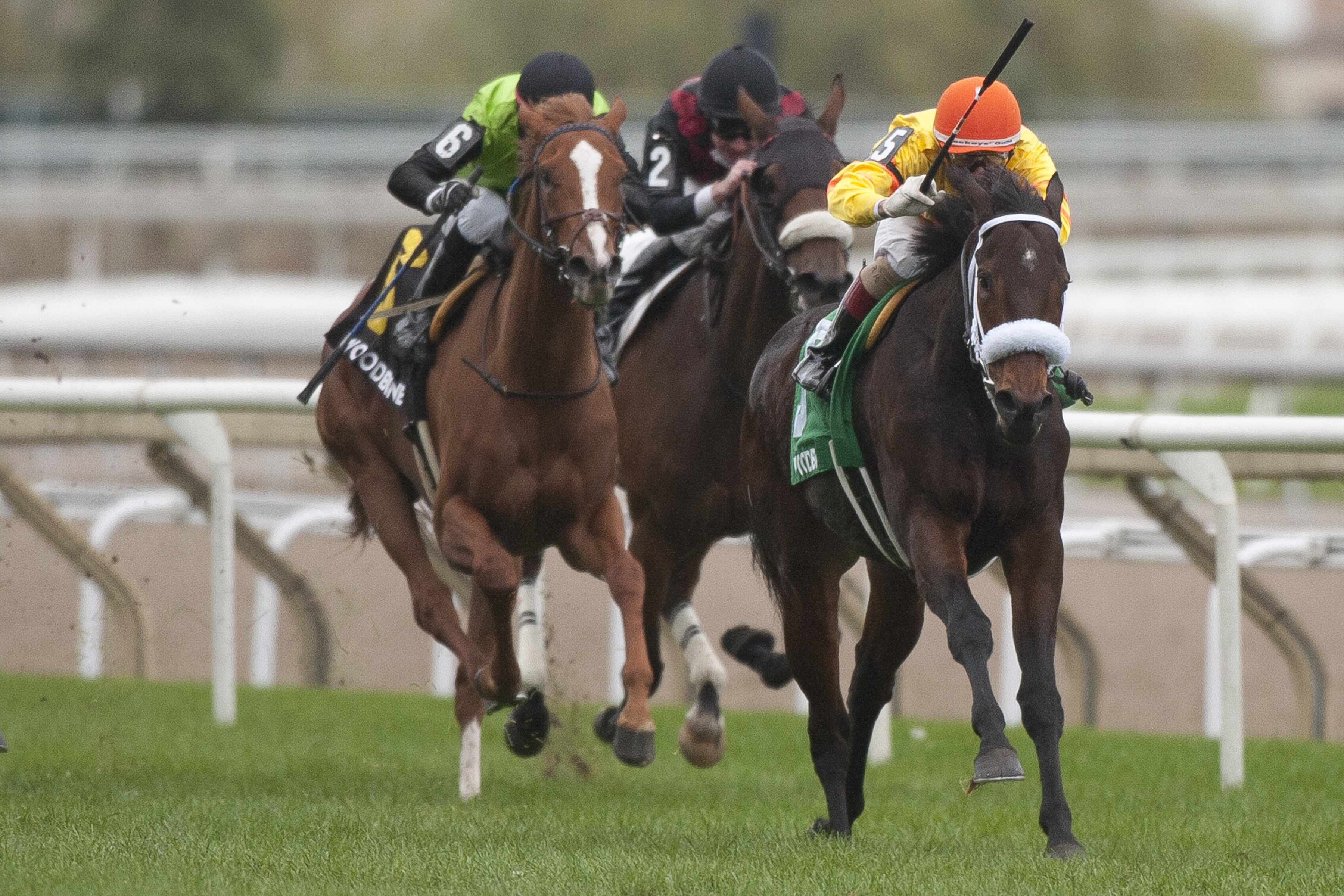 Merveilleux wins Wonder Where 10-25-2020