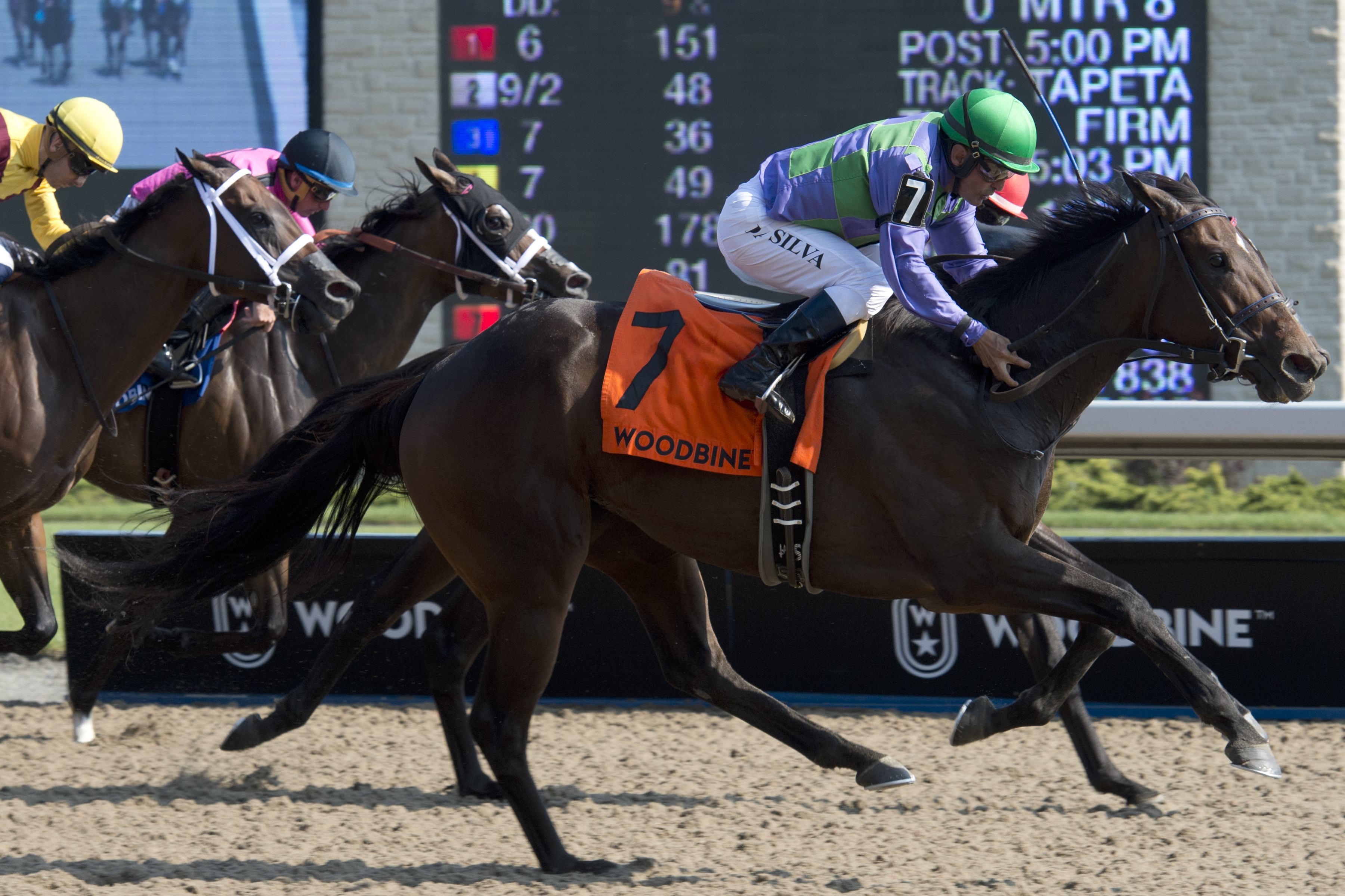 Gamble's Ghost wins 2018 Ontario Matron