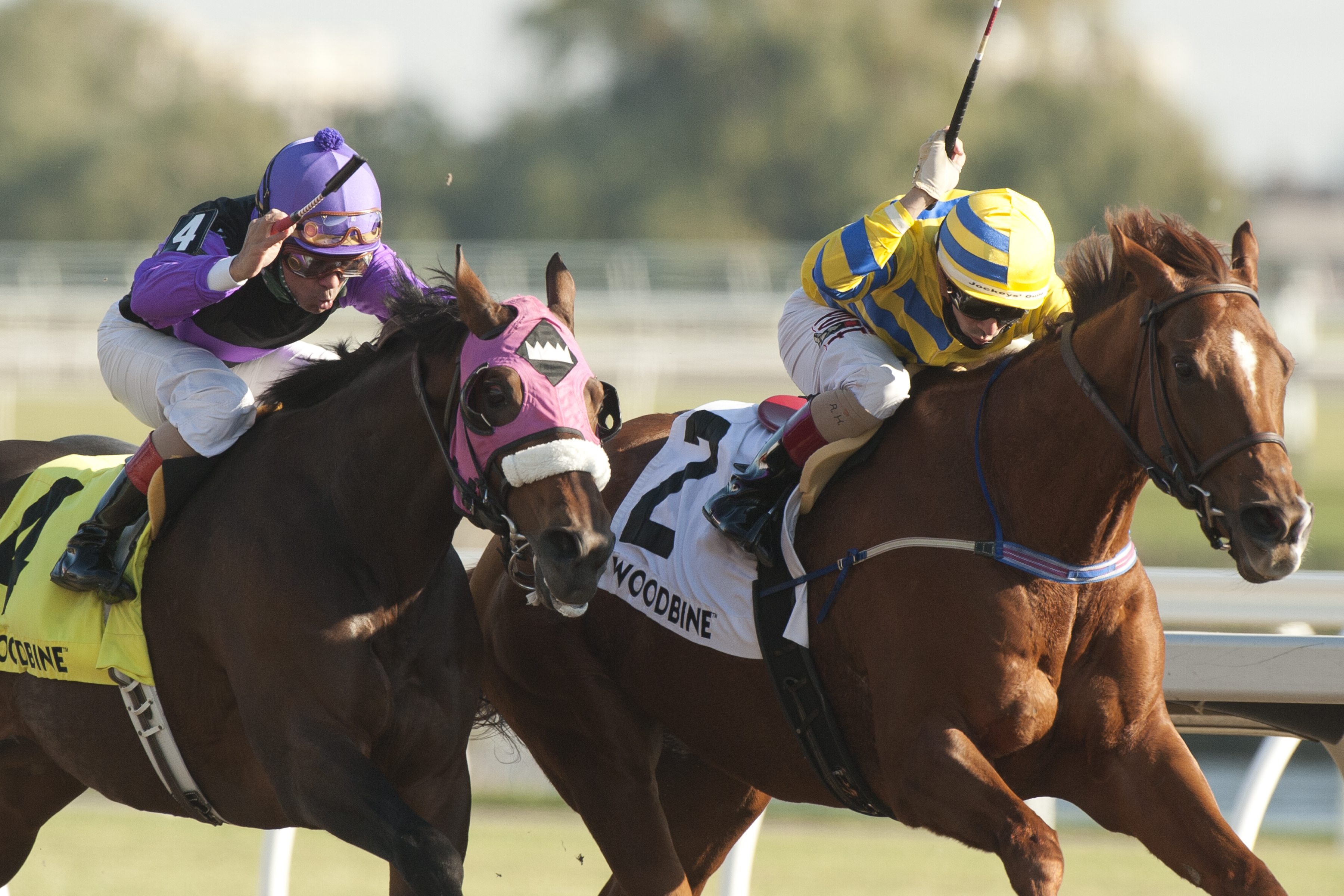 Pink Lloyd (2) wins Ontario Jockey Club 11-7-2021