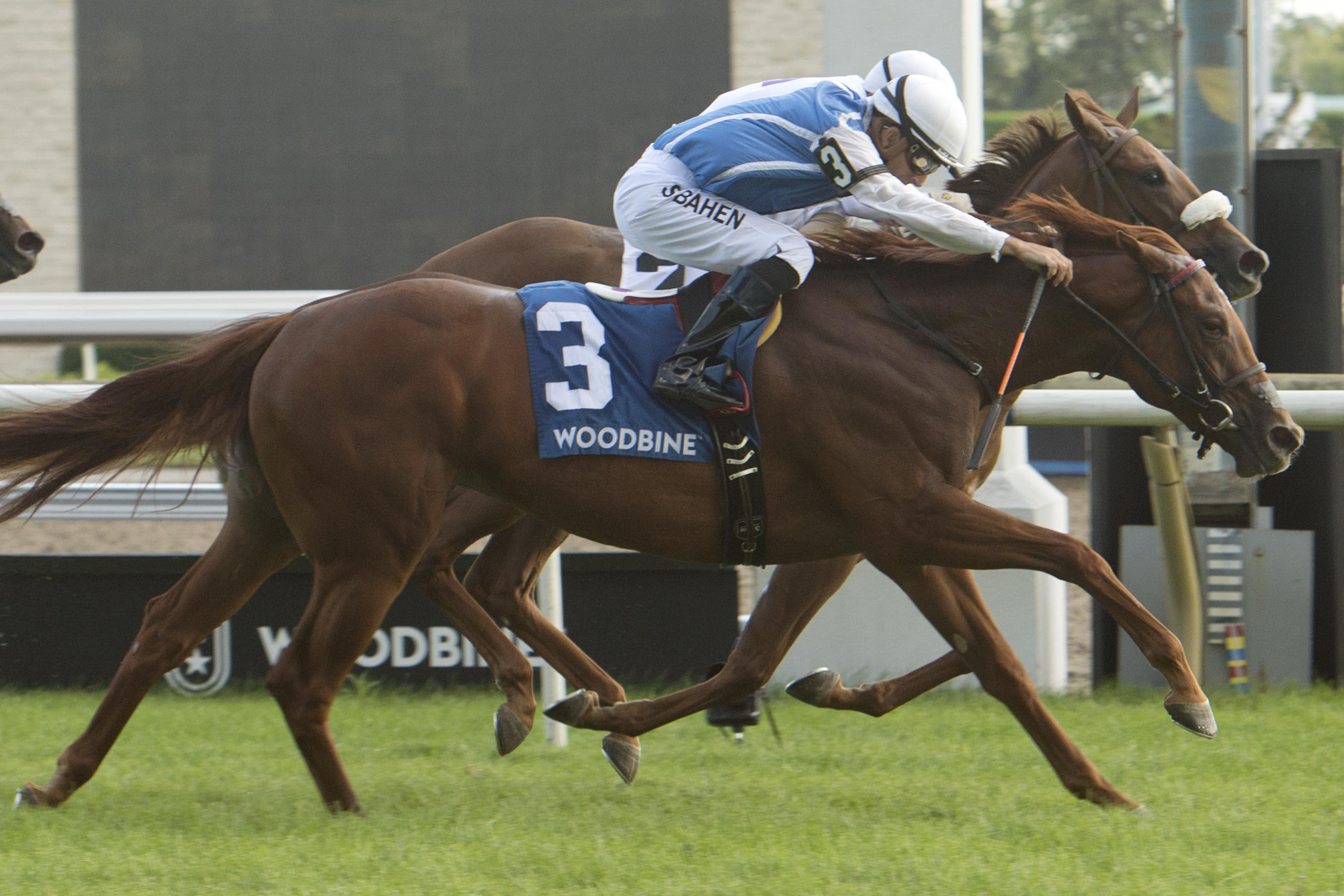 Alda wins Catch a Glimpse Stakes 8-23-2020