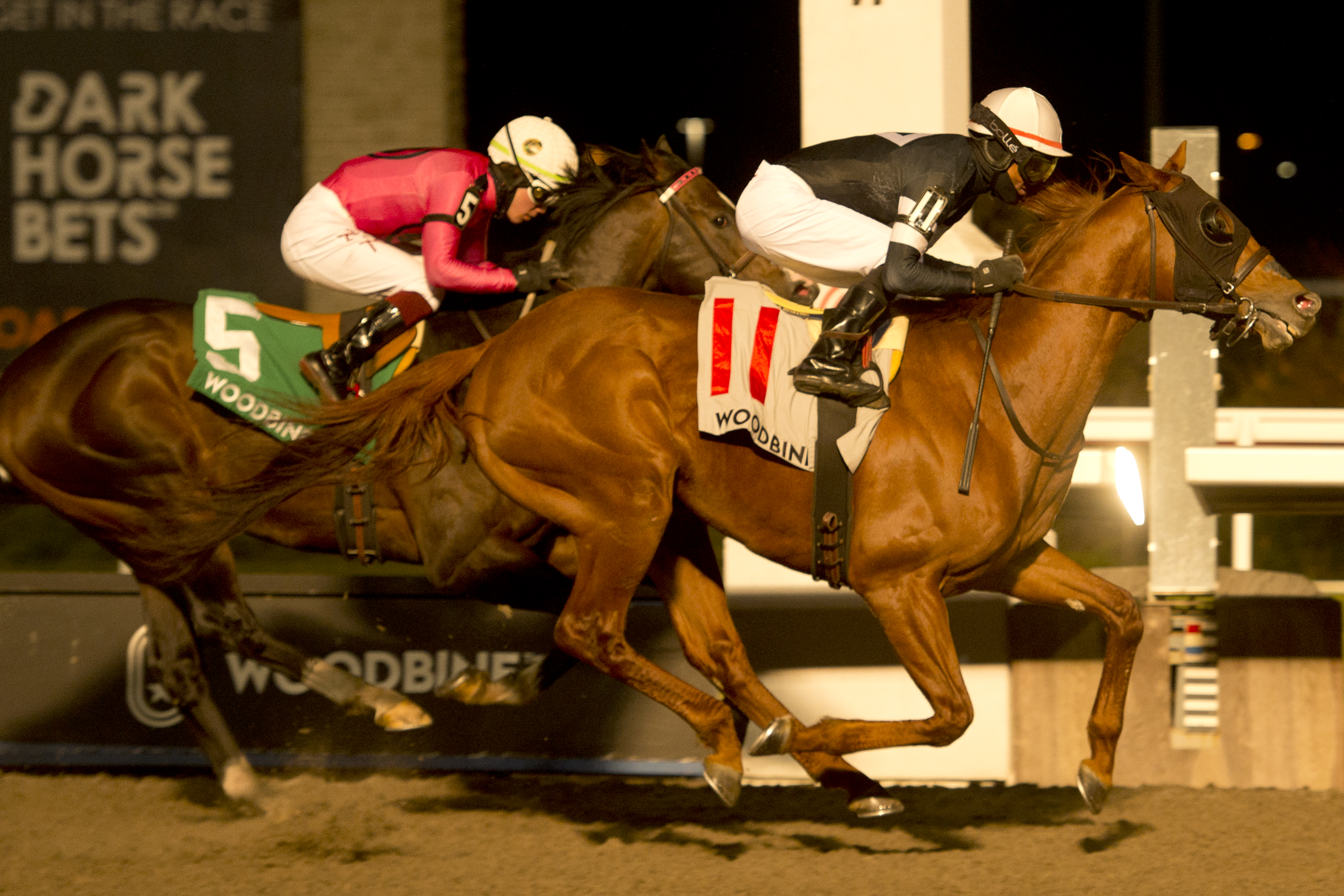 Sir Winston (11) wins Valedictory 12-5-21