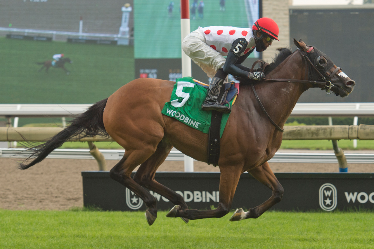 March to the Arch wins Niagara Stakes 7-25-2021