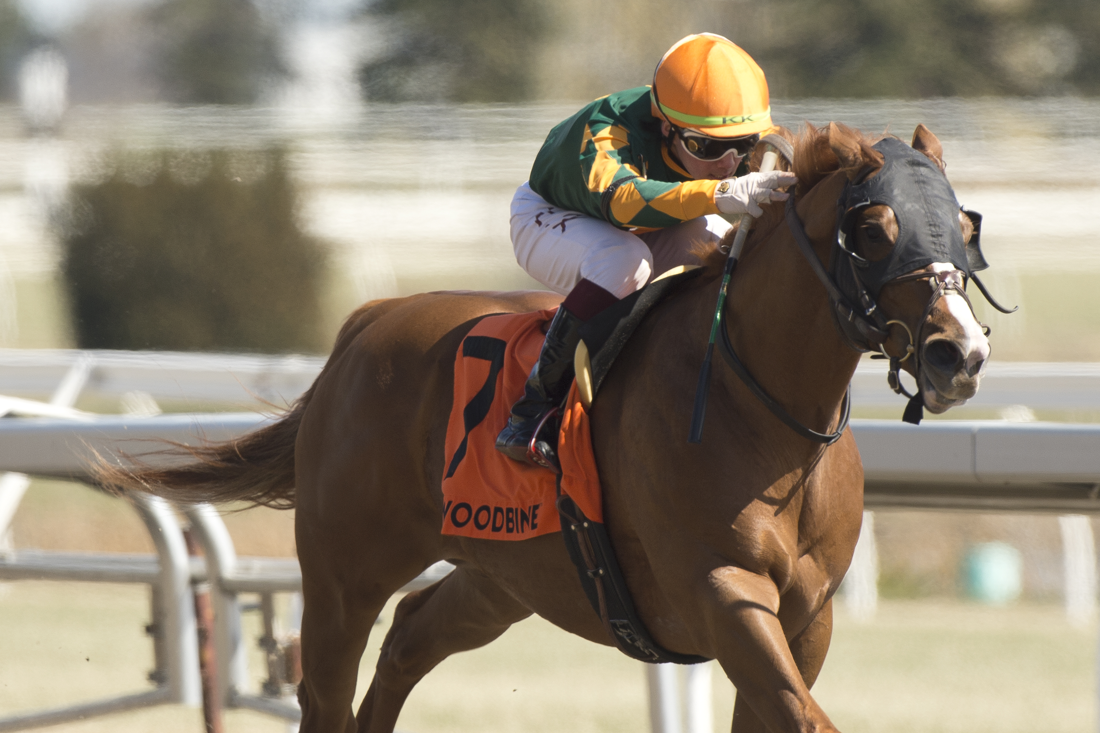 Arzak wins Thorncliffe 4-17-2022