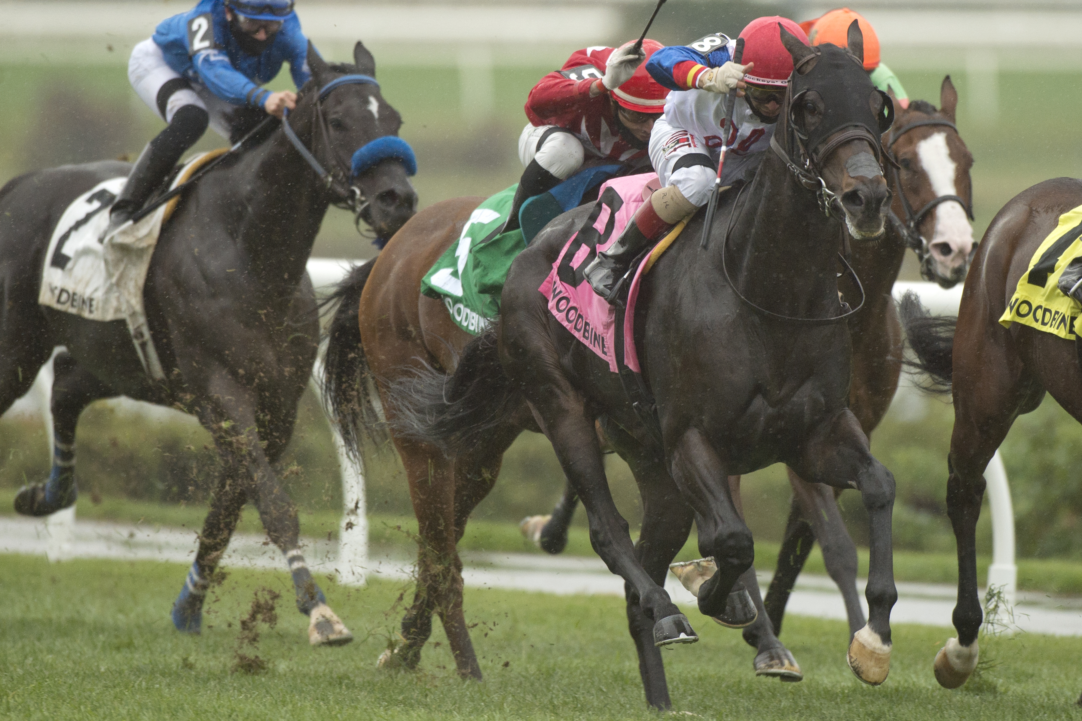 Not So Quiet wins Vice Rebent 10-4-2020
