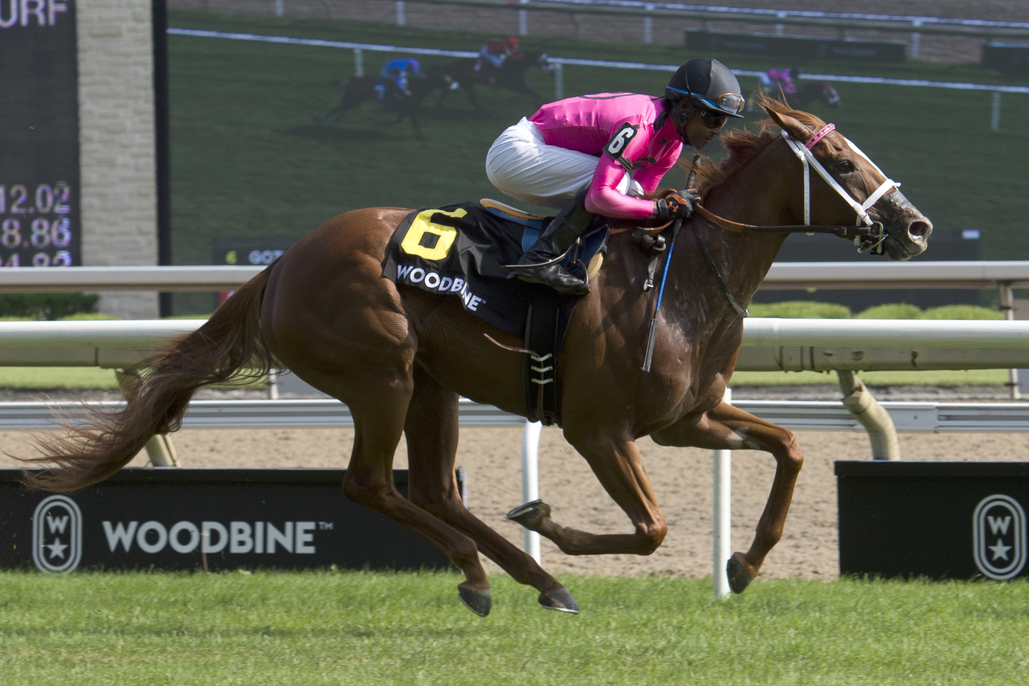Got Stormy wins 2018 Ontario Colleen