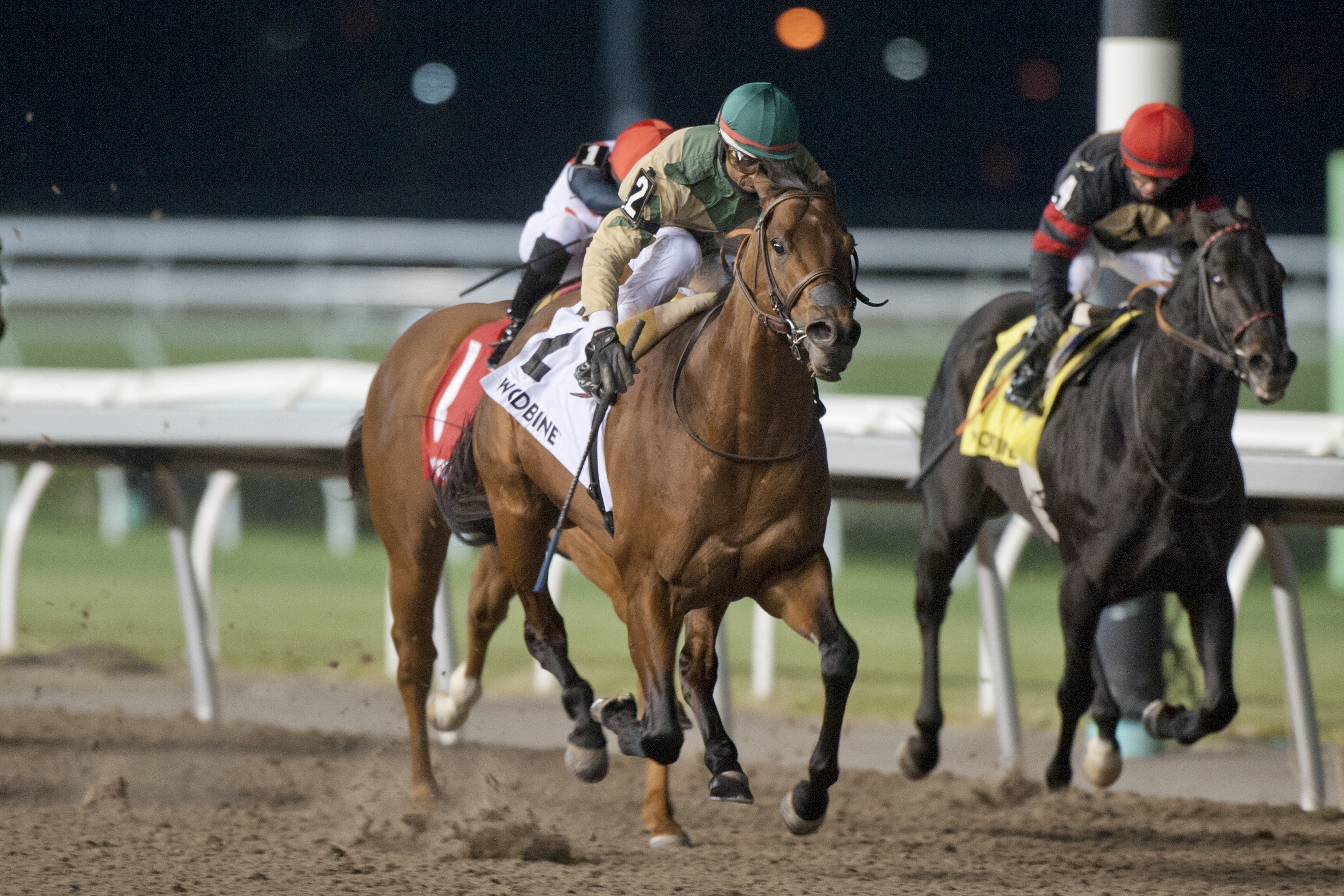 Ride a Comet wins Kennedy Road 11-21-2020