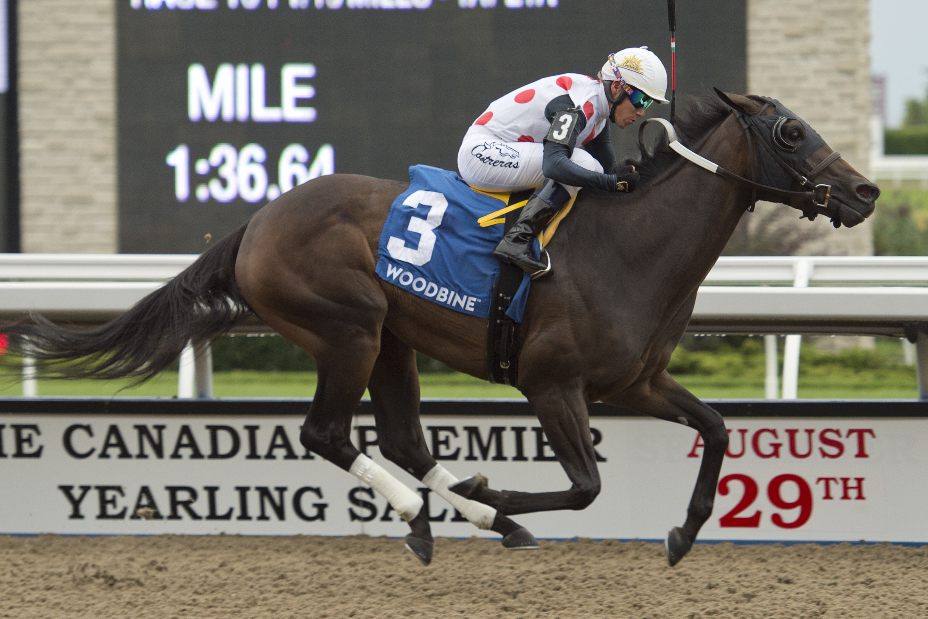 Souper Escape wins the 2019 La Lorgnette Stakes