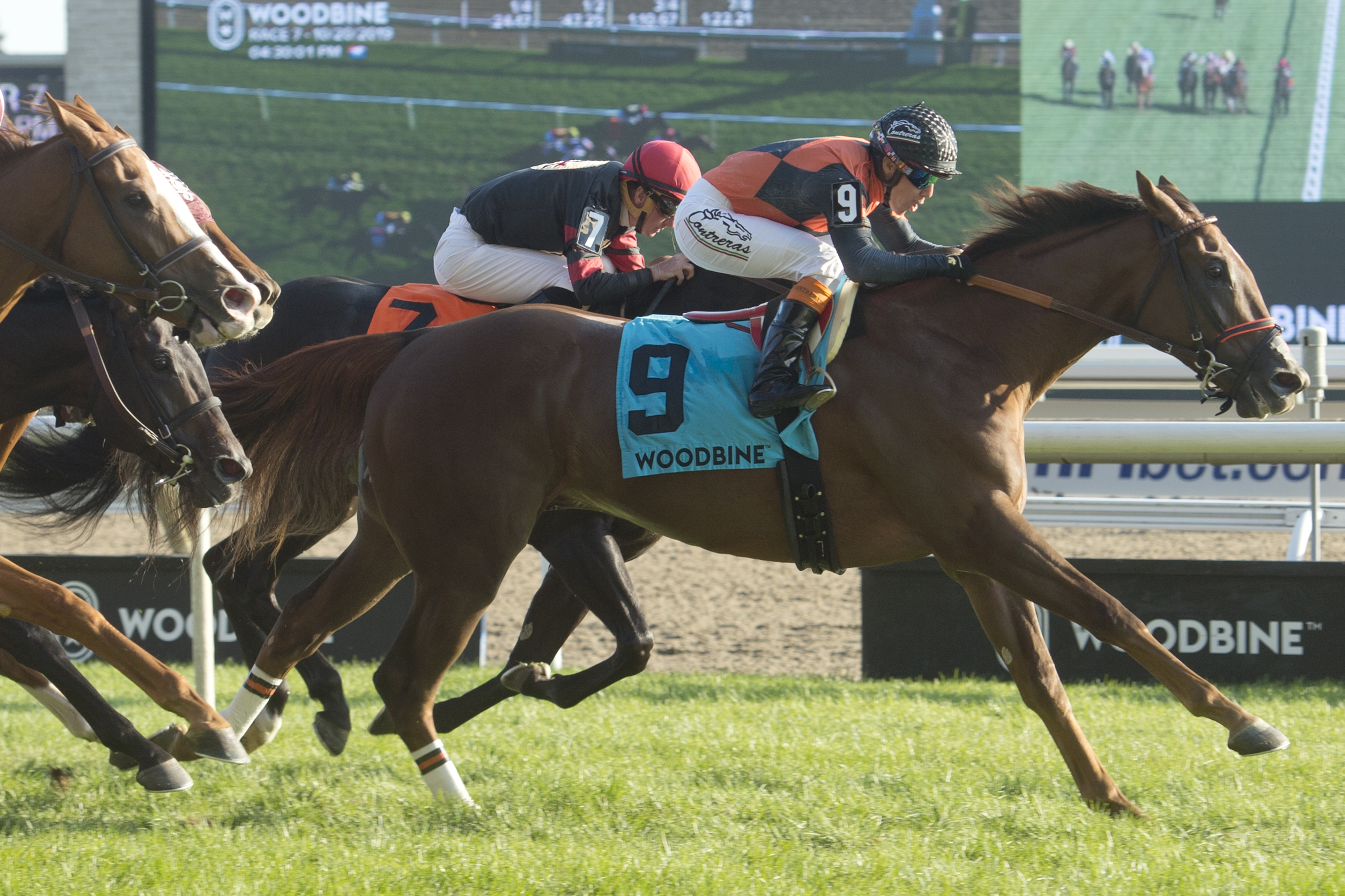 Cooler Mike wins the 2019 Bunty Lawless Stakes