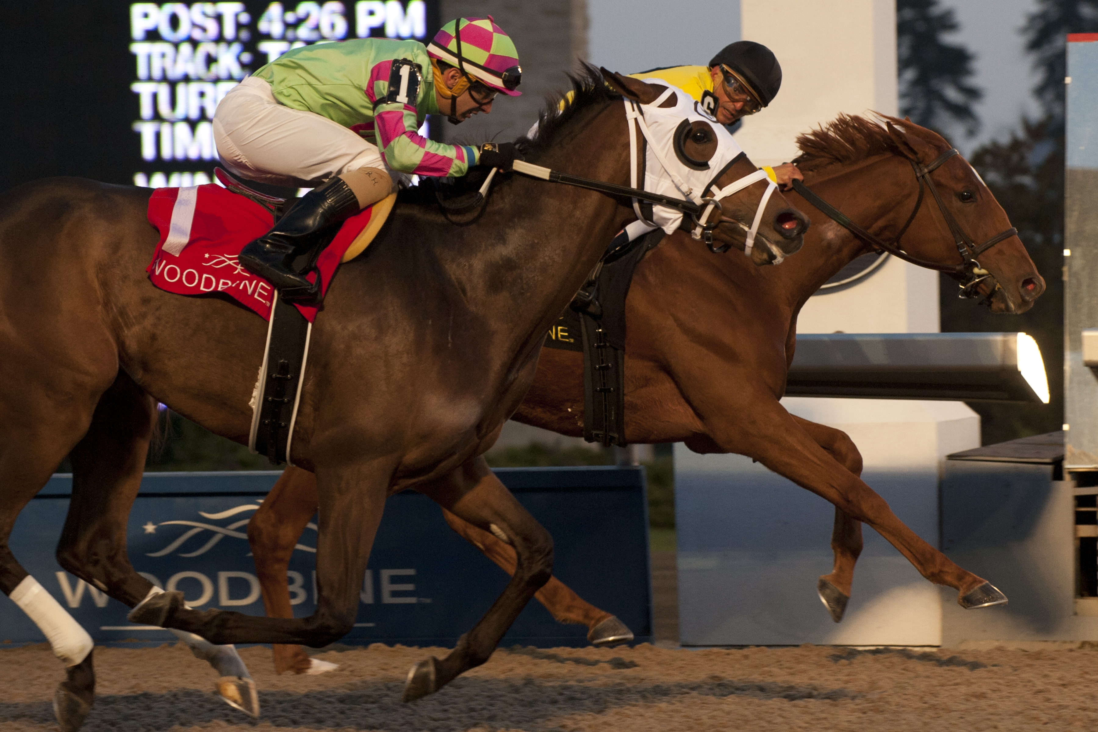 Dixie Moon wins 2017 Ontario Lassie Stakes