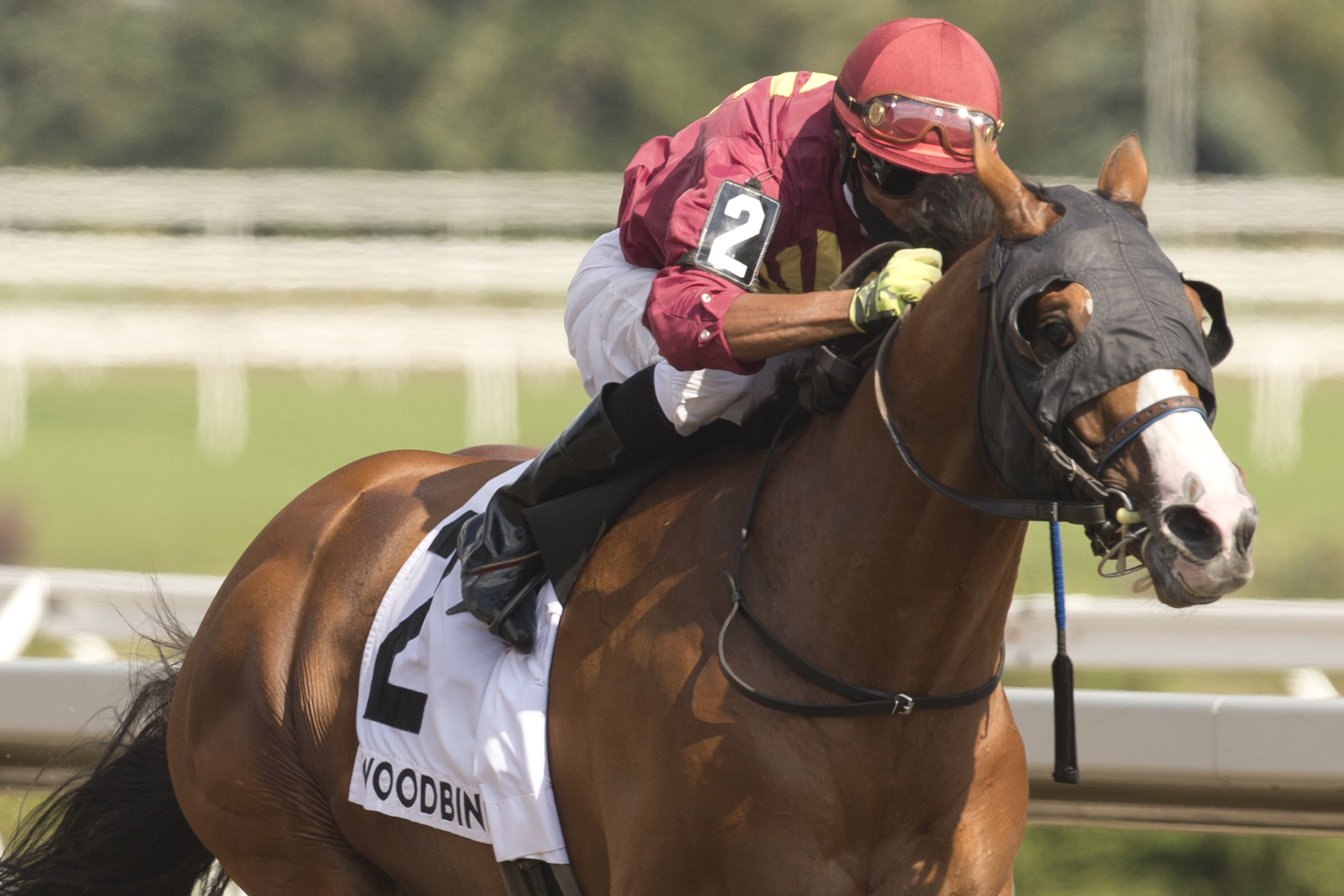 Mr. Ritz wins Seagram Stakes 7-26-2020