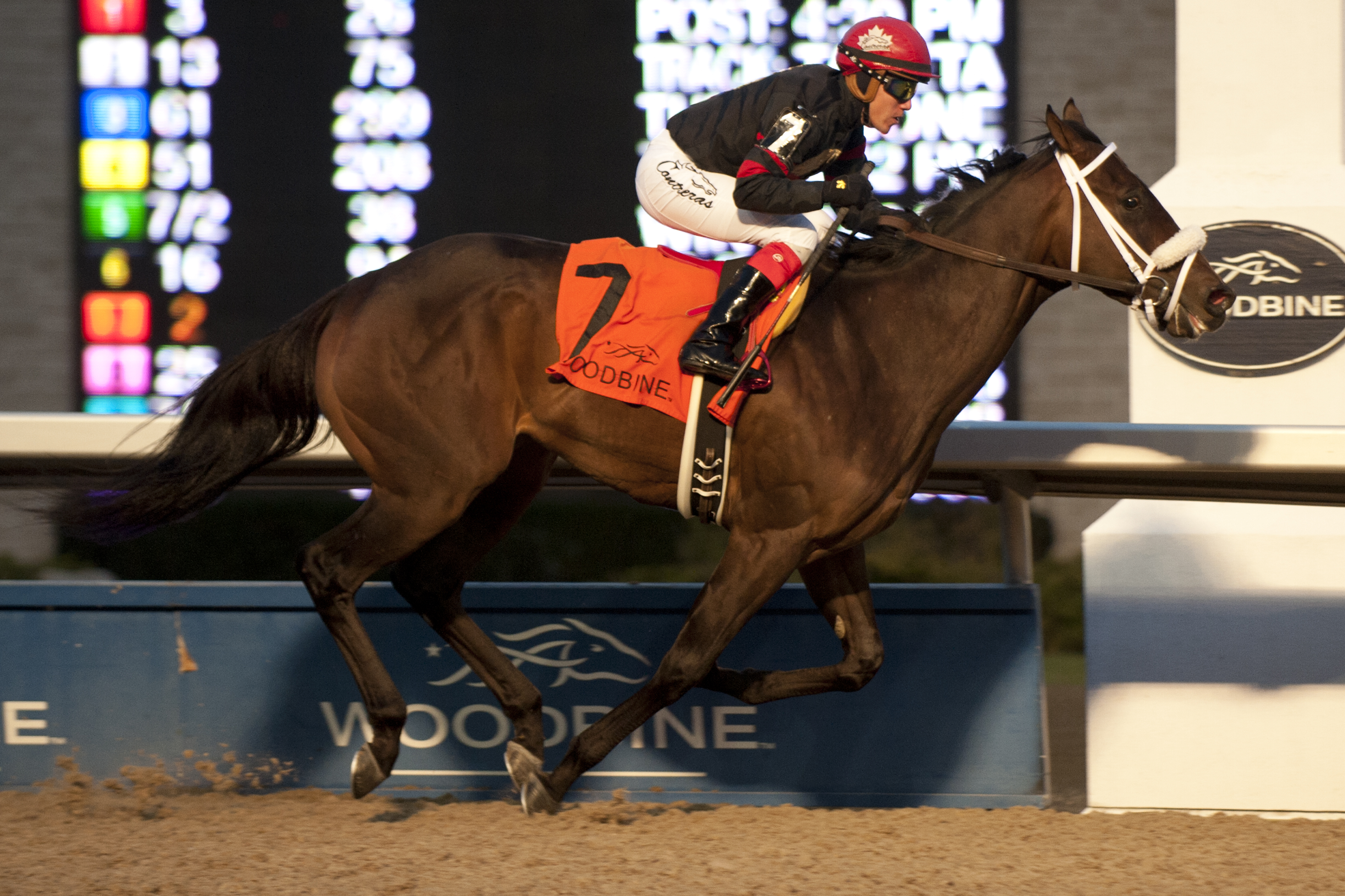 Silent Sting wins 2017 Kingarvie Stakes