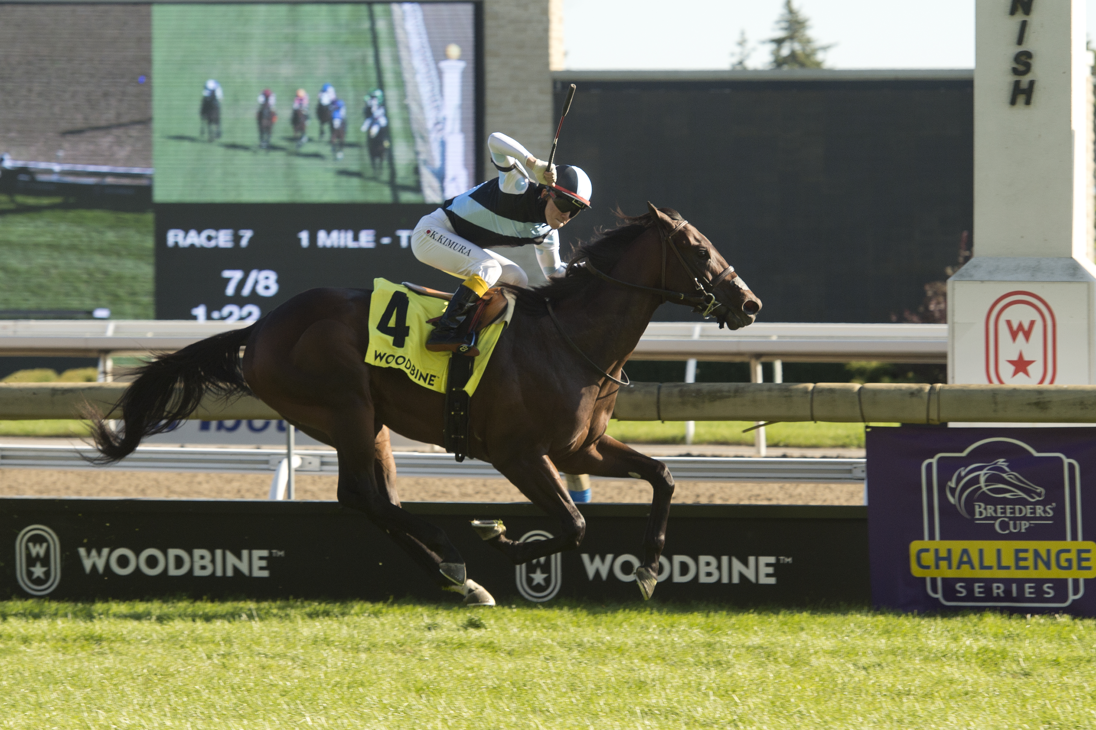 Gretzky the Great wins Summer Stakes 9-20-2020