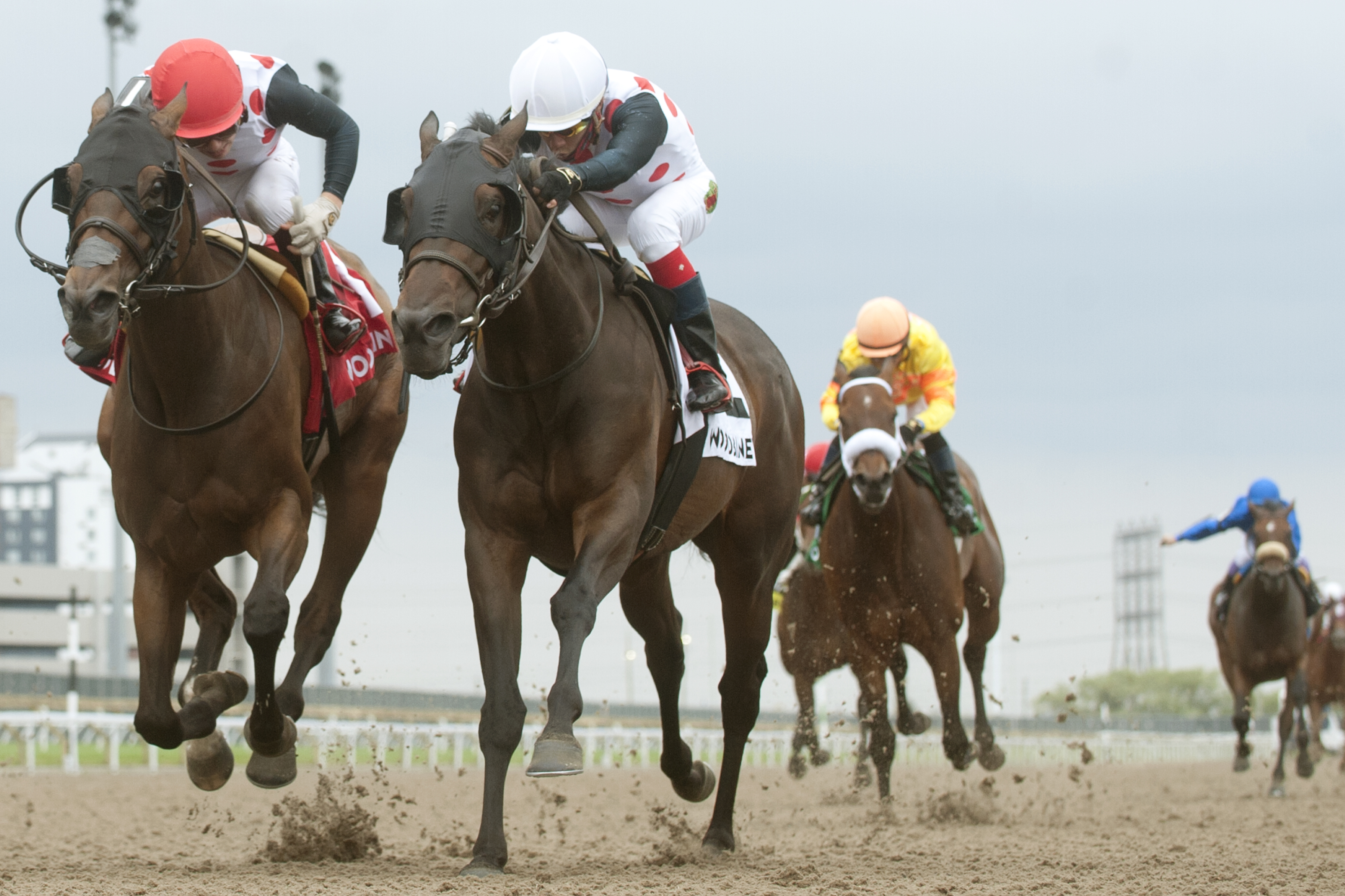 Souper Escape (left) wins Trillium 6-26-2021